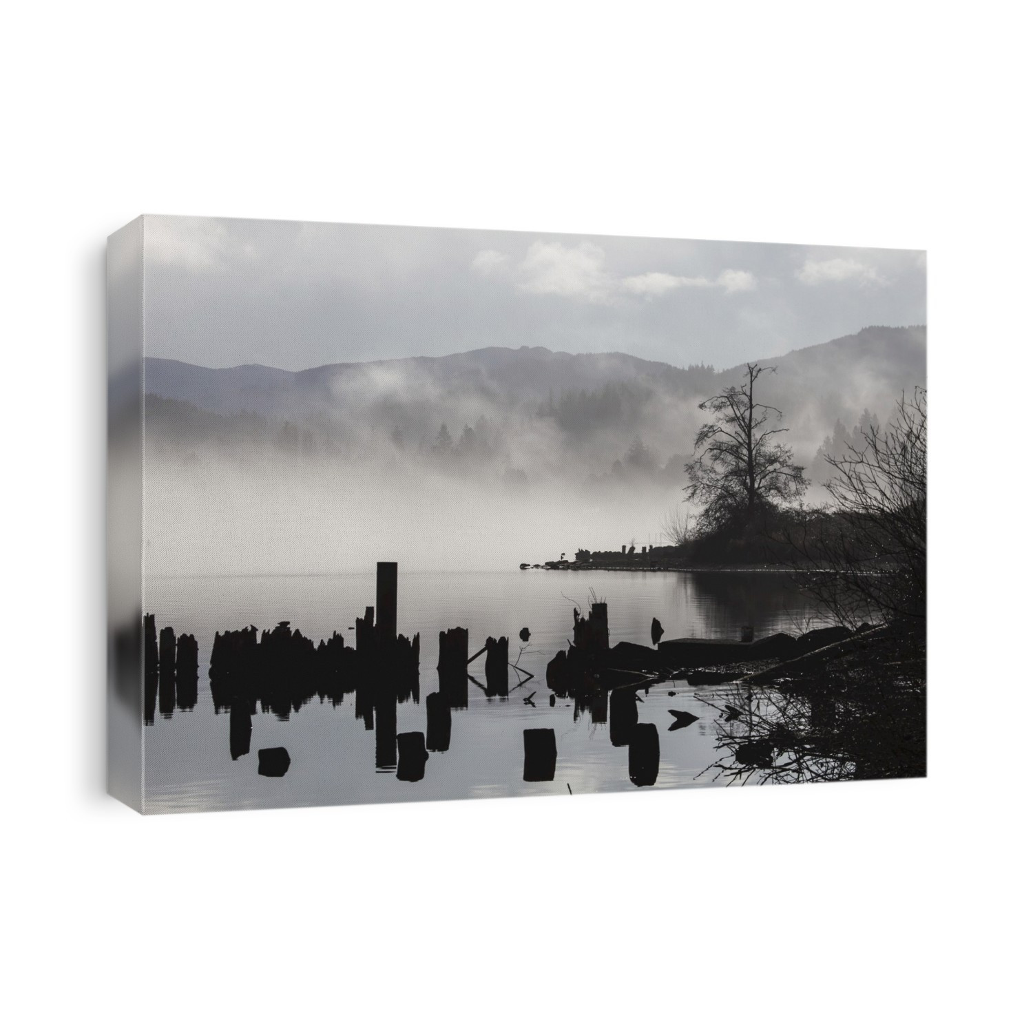 Foggy Mountain Lake Scene With Silhouettes Of Trees, Pilings; Bellingham, Washington, United States Of America