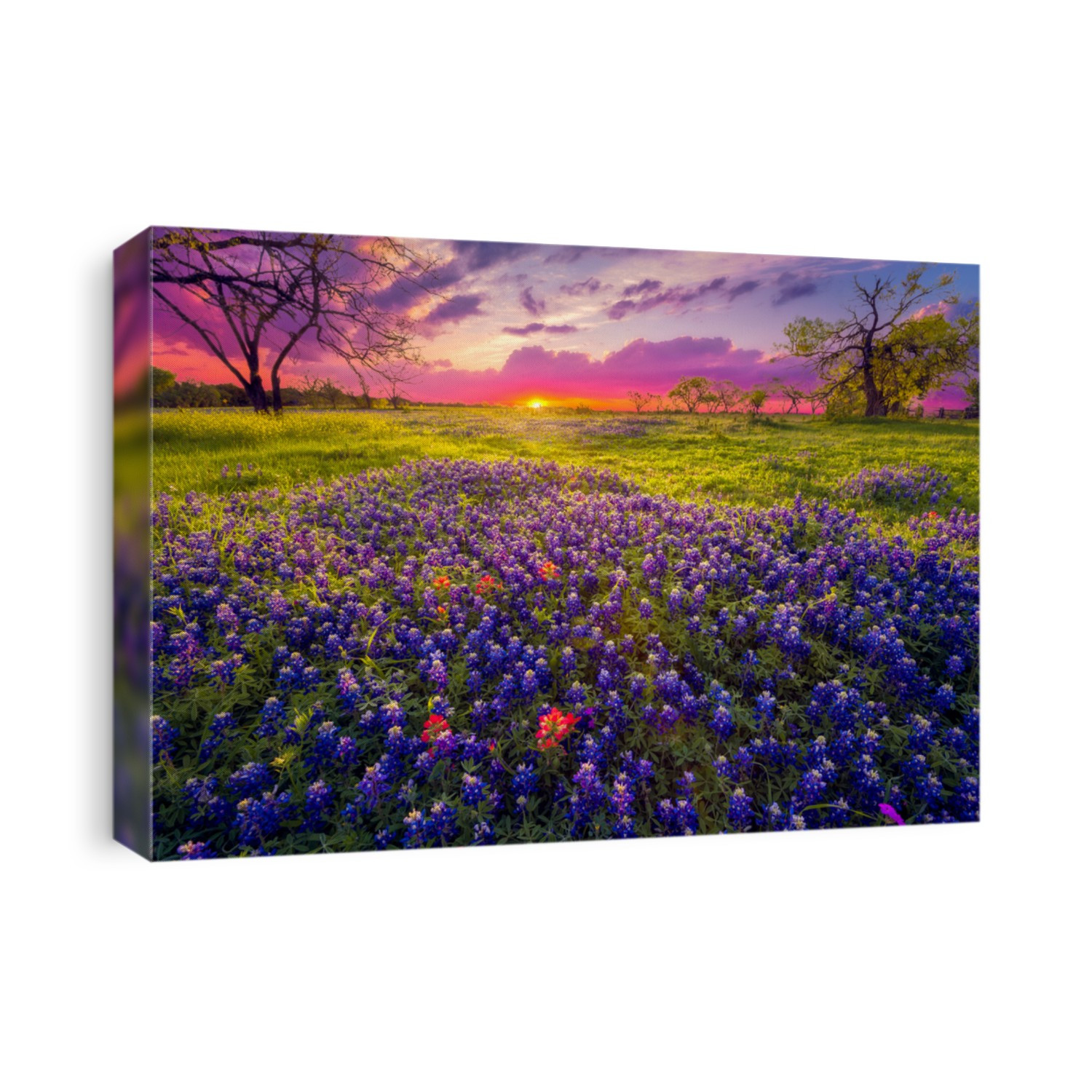 Sunrise in the Texas Hill Country