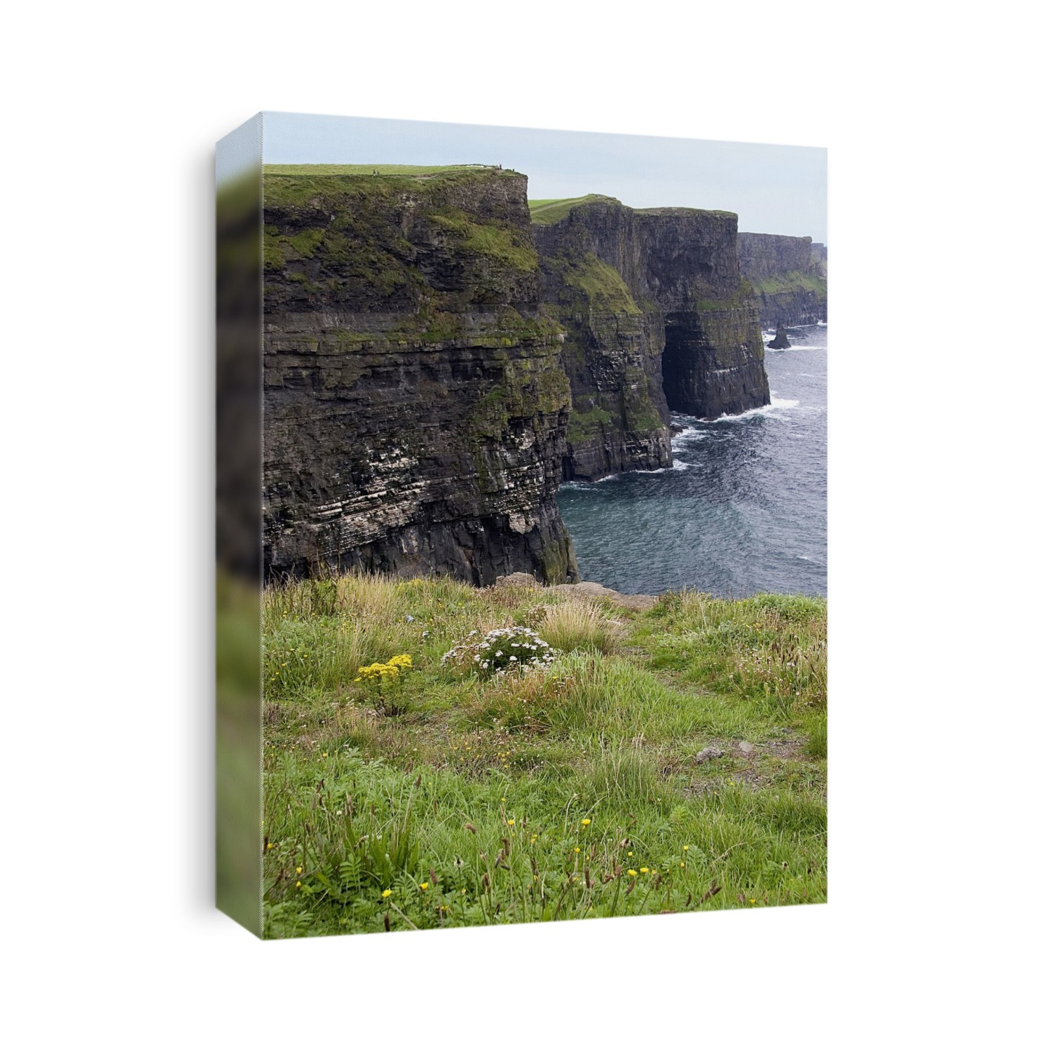 The cliffs of Moher, formerly the ancient wall of Thomond, in County Clare, Ireland. The 600ft (182 metres) high cliffs are composed of Namurian sandstone & flagstones from the Carboniferous period (280-345 million years ago). They are an important wild life sanctuary for birds and small animals. In 1988 the cliffs and several hundred metres inland and out to sea were declared a protected area for birds. There are some 30 species of birds including puffins, gulls, shags, ravens and hawks