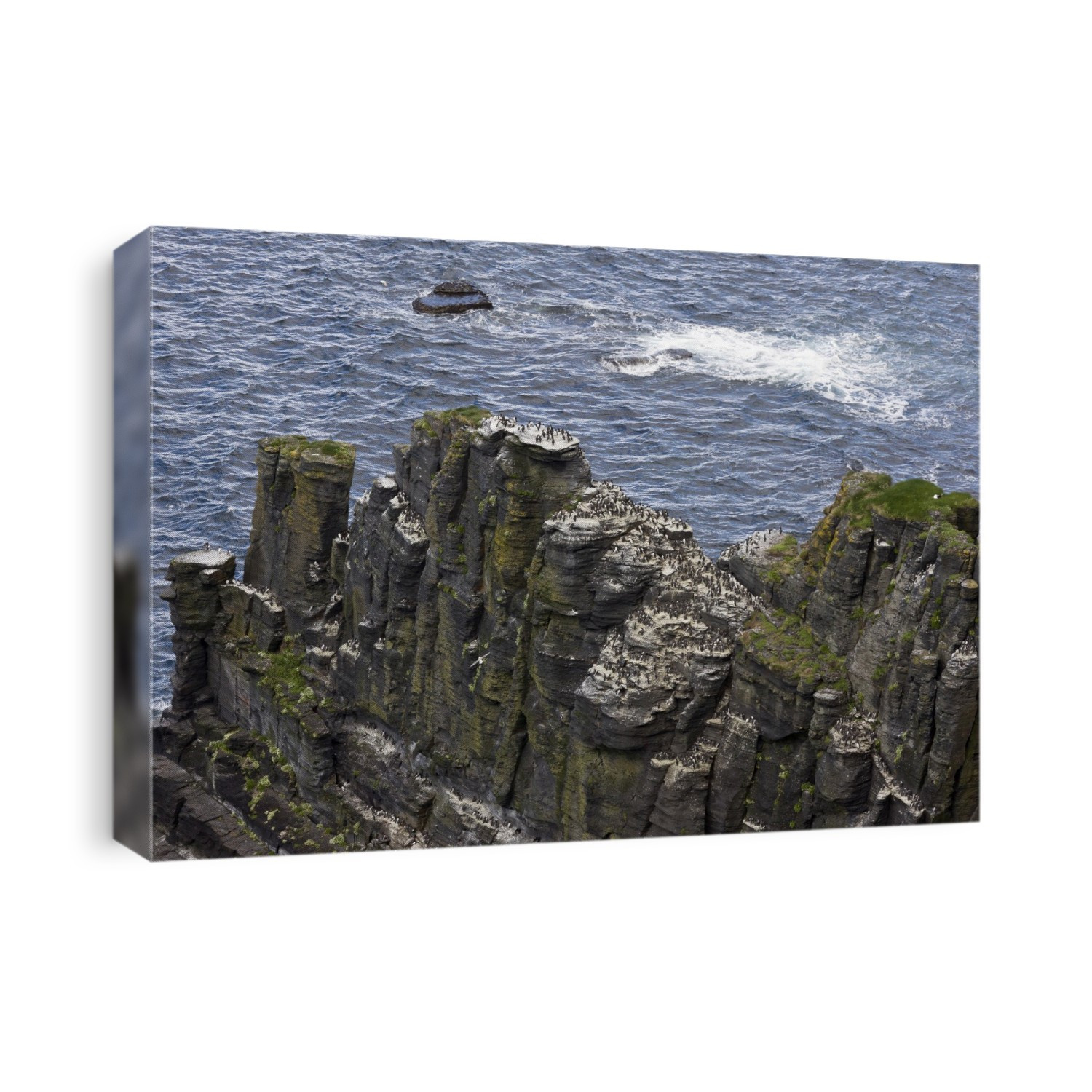 Cliffs of Moher. View of the seabird colonies of the Cliffs of Moher, The Burren, County Clare, Ireland.