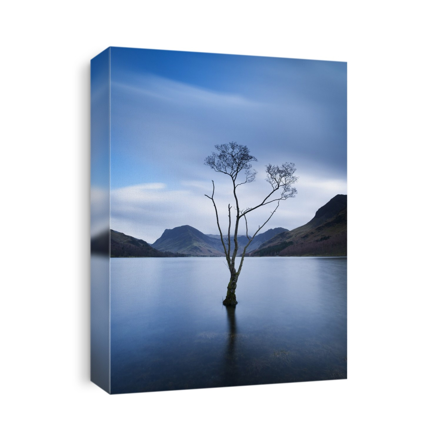 Lone Tree in Lake at Dusk, Lake Buttermere, Lake District, England