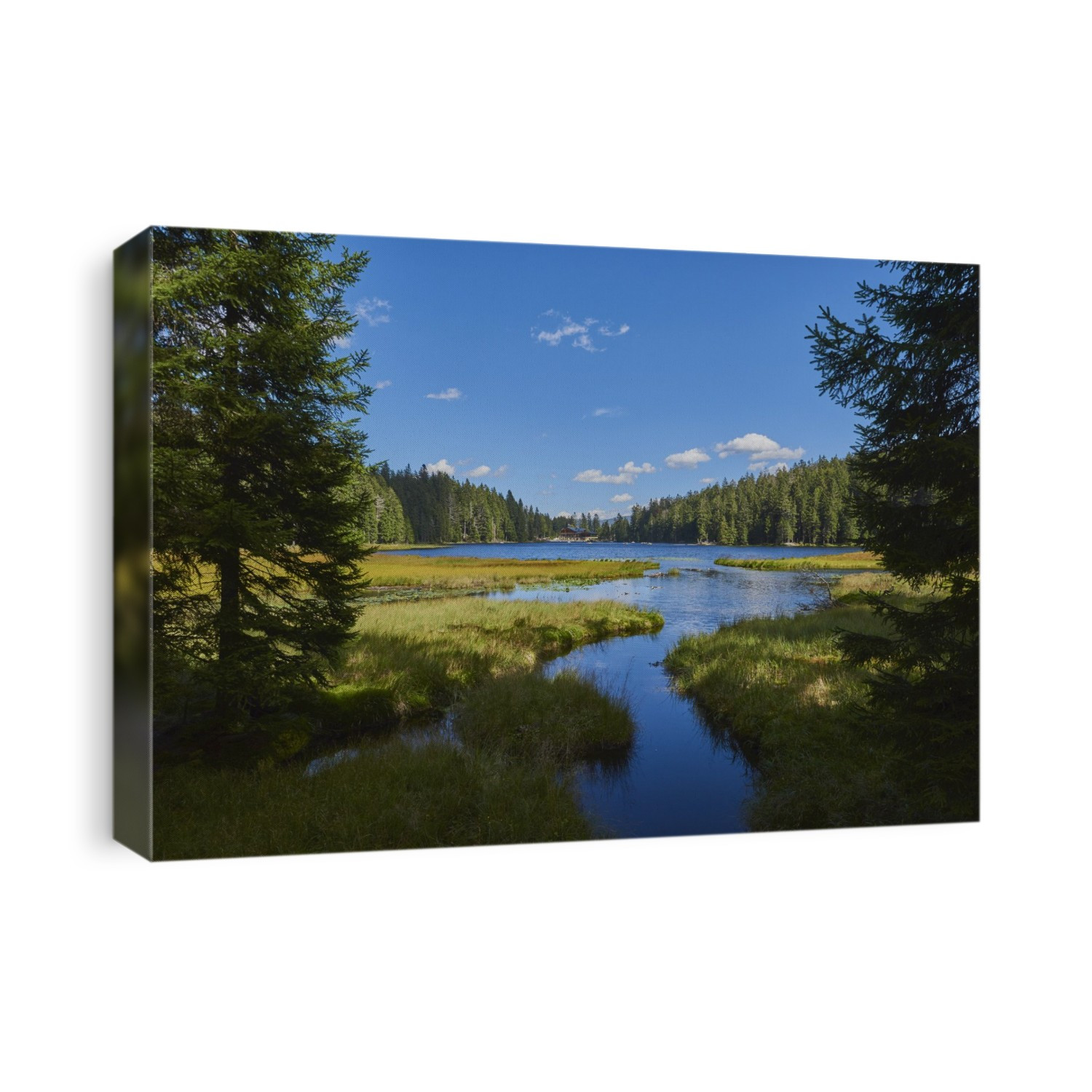 A little stream  running into Lake Arbersee, National Park, Bavarian Forest; Bavaria, Germany
