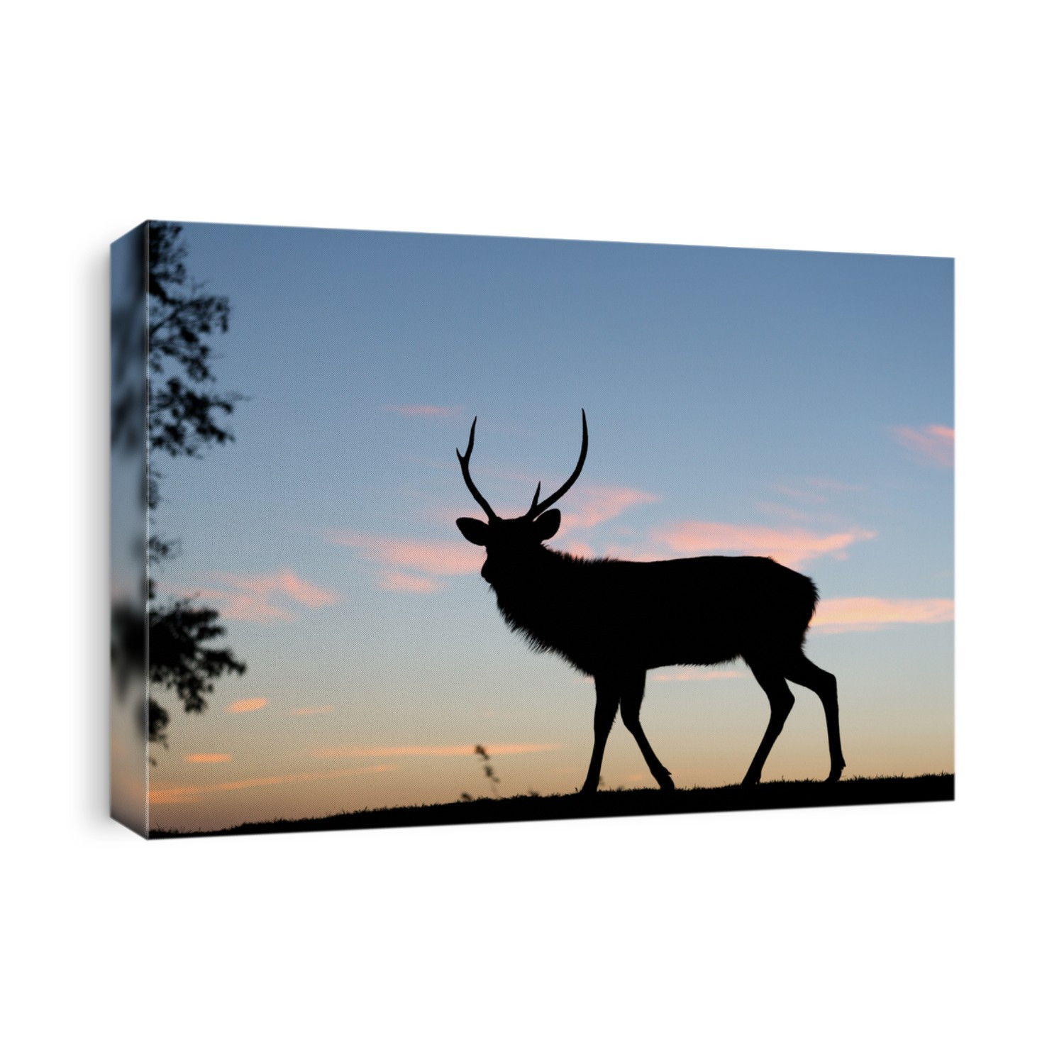 Silhouette of deer against sky at sunset