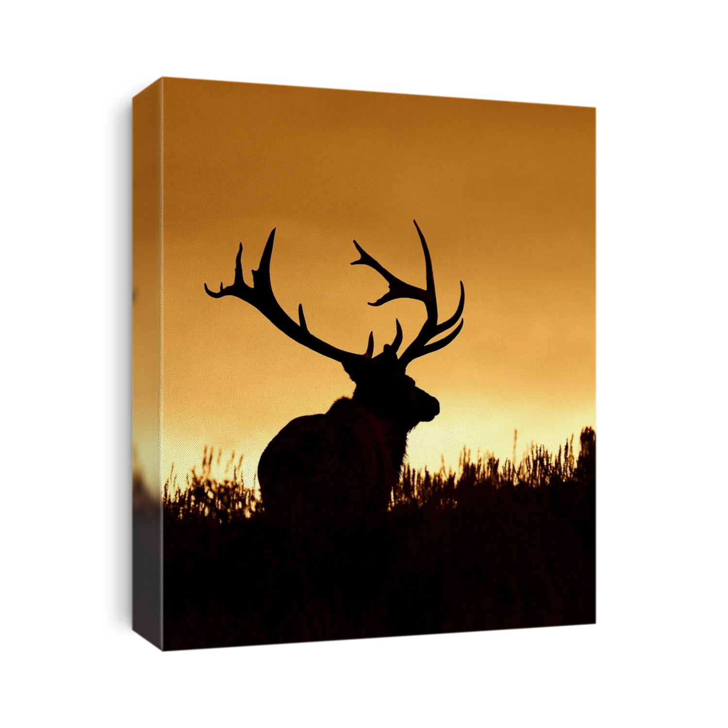 Huge Bull Elk Stag with trophy antlers in prairie habitat silhouette against colorful sunset sky Elk Hunting in the western United States of Wyoming, Colorado, Idaho, Montana, Utah, and Oregon