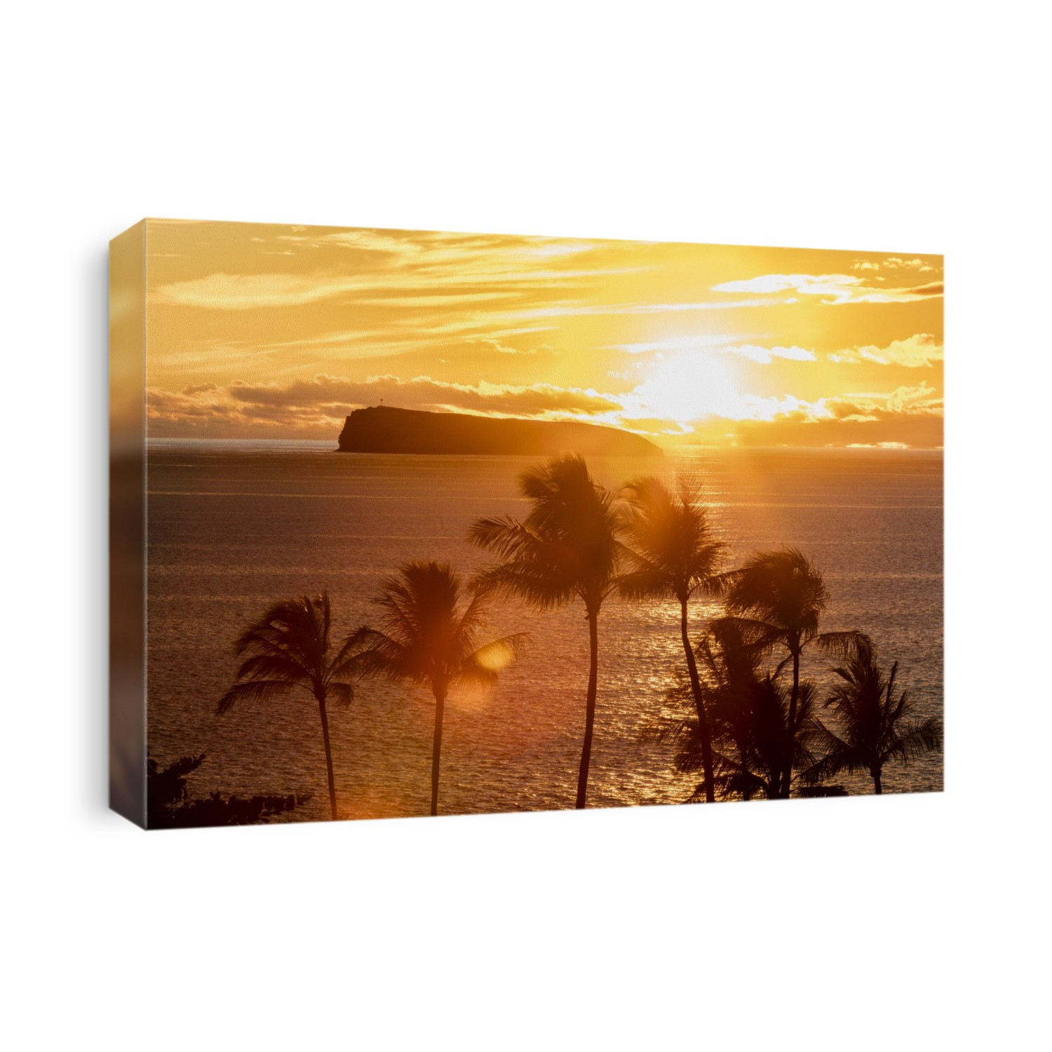 The sun sets behind Molokini with silhouetted palm trees; Wailea, Maui, Hawaii, United States of America