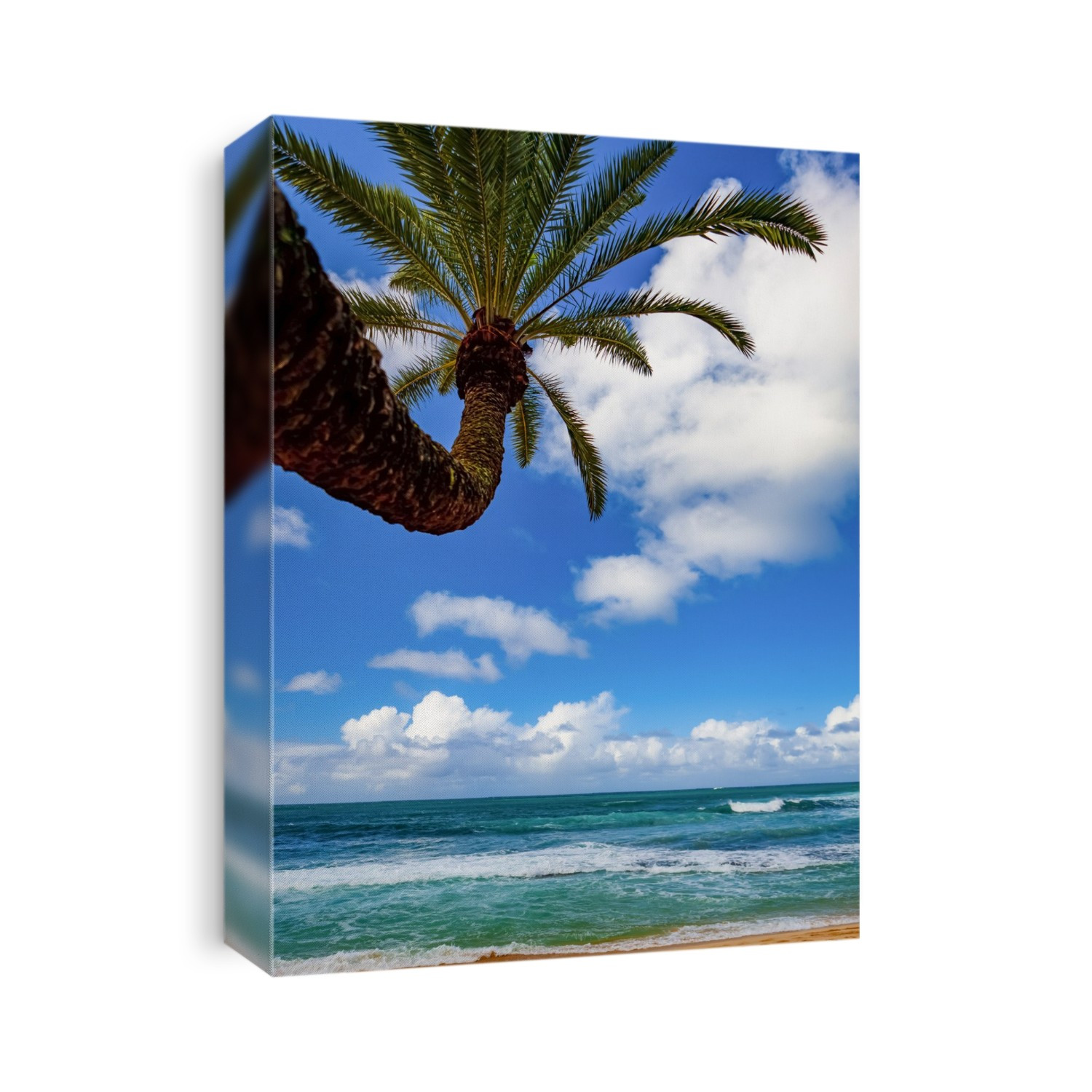 Tropical views of the Pacific Ocean from Waikiki Beach; Honolulu, Oahu, Hawaii, United States of America