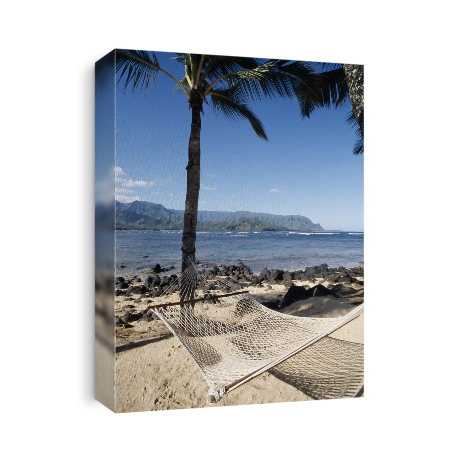Beach with palm trees and a hammock. Photographed on the island of Kauai, Hawaii.