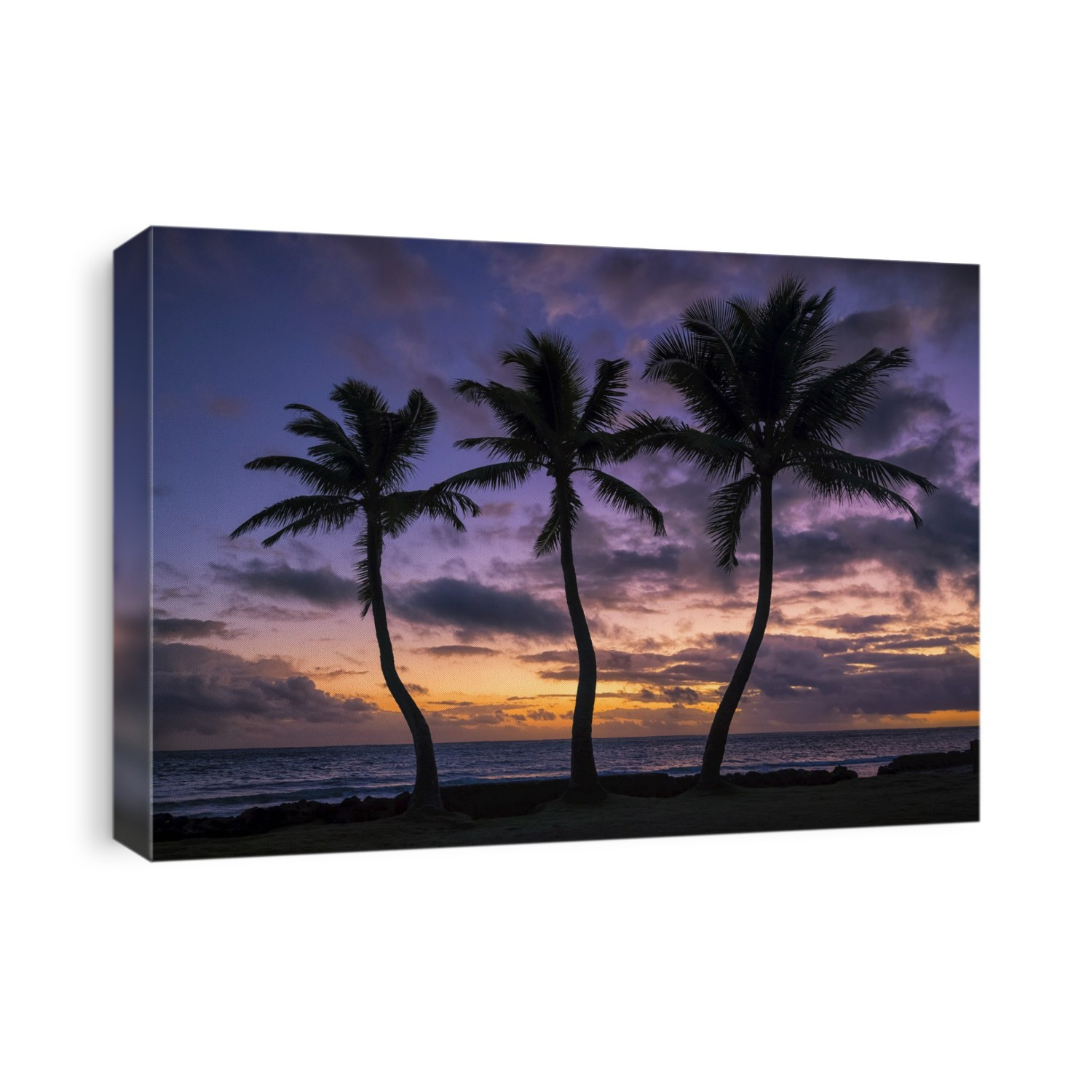 Sunrise over the ocean with three palm trees in the foreground; Waikiki, Oahu, Hawaii, United States of America