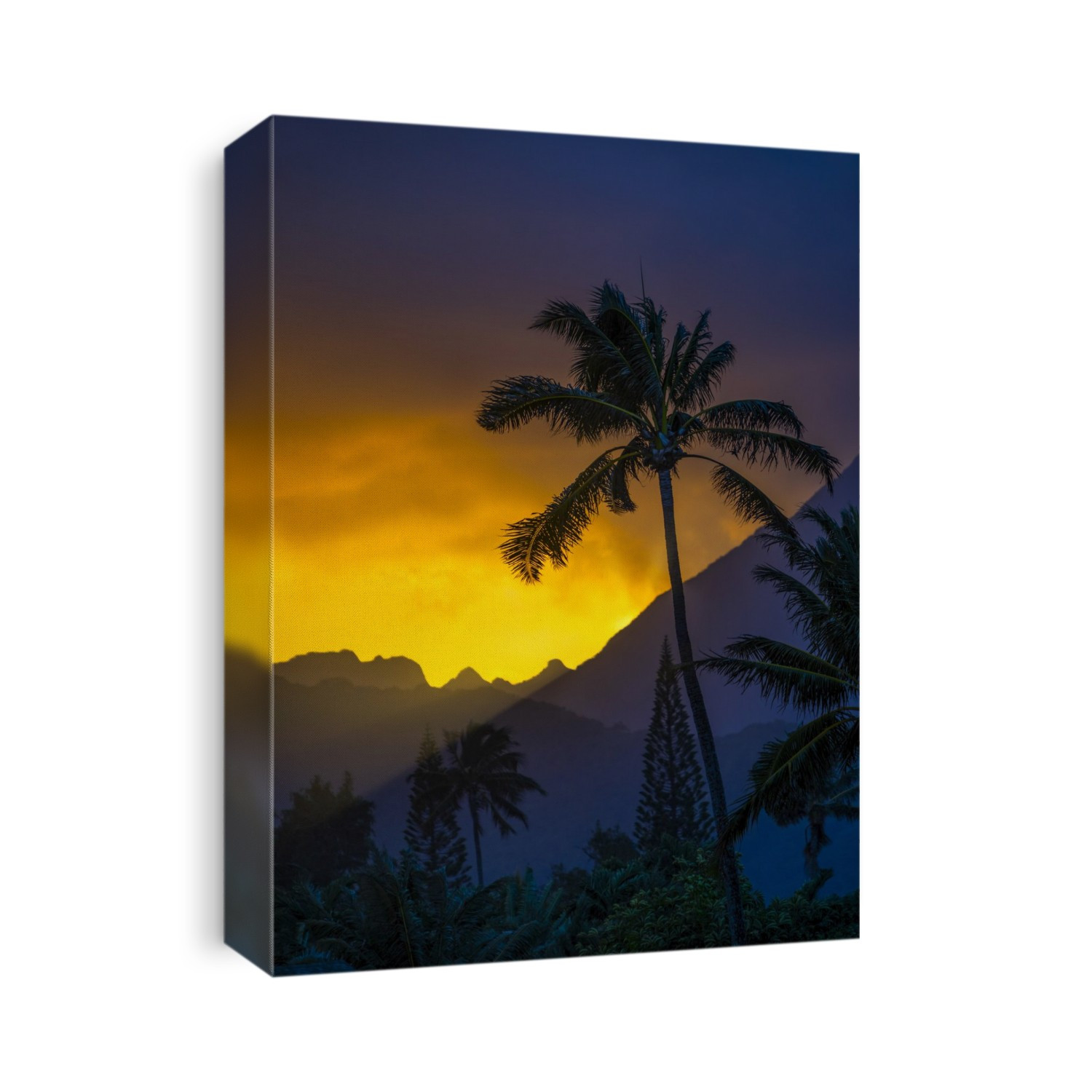 Silhouetted palm tree and peaks of mountains at sunset, Ka'elepulu Canal; Oahu, Hawaii, United States of America