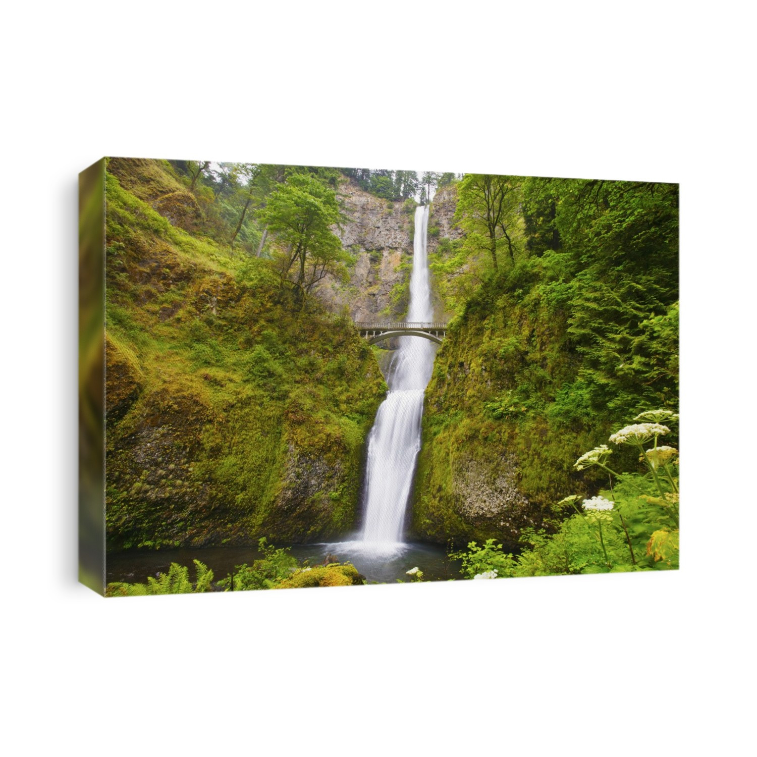 Multnomah Falls in Columbia River Gorge National Scenic Area; Oregon, United States of America