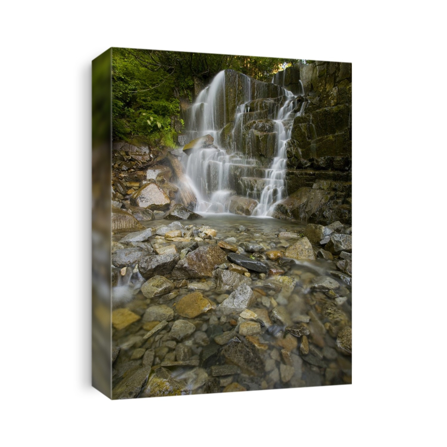 A waterfall cascading and splashing down a rocky, rugged drop-off to a stream below, Mount Rainier National Park; Washington, United States of America