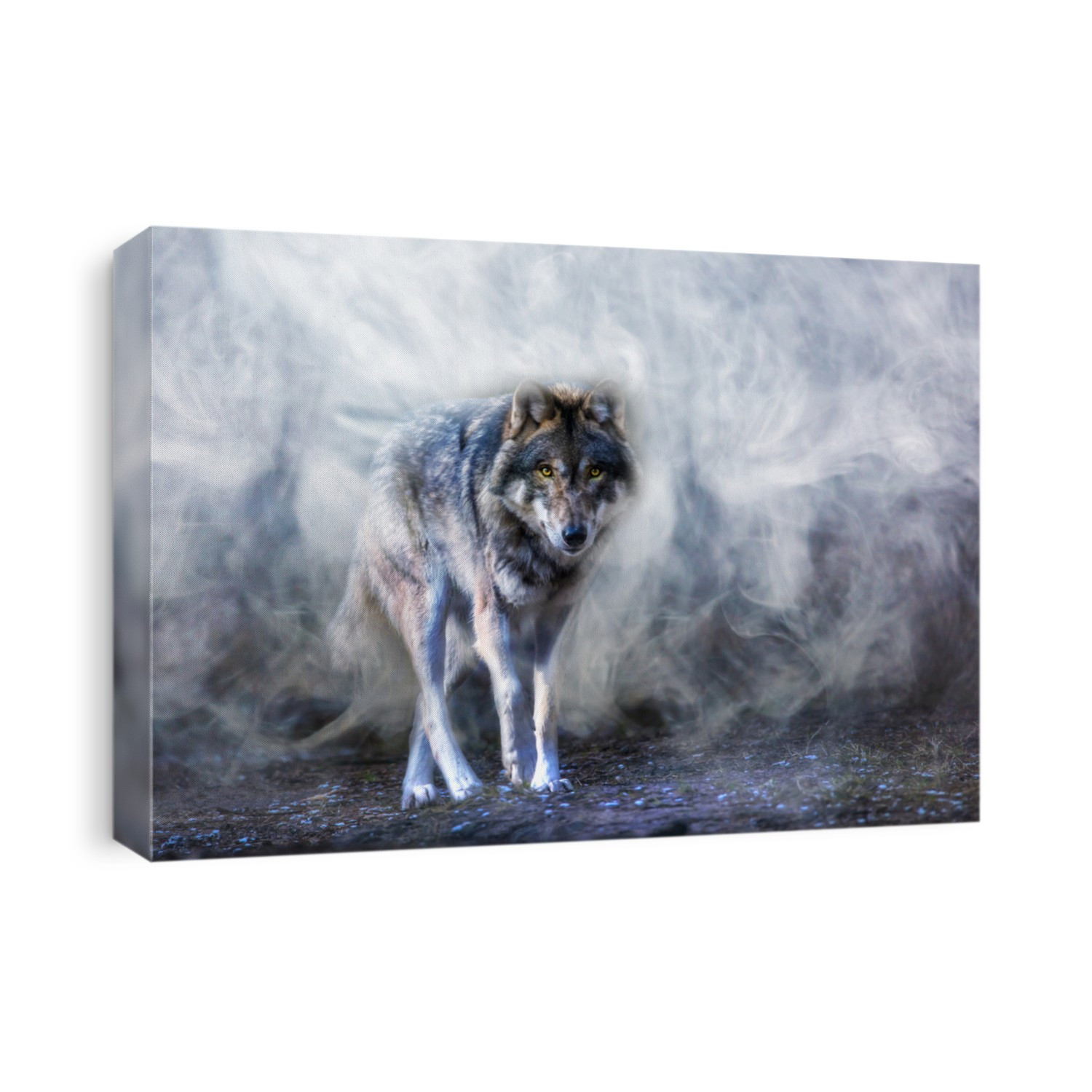 A wolf runs through the mist