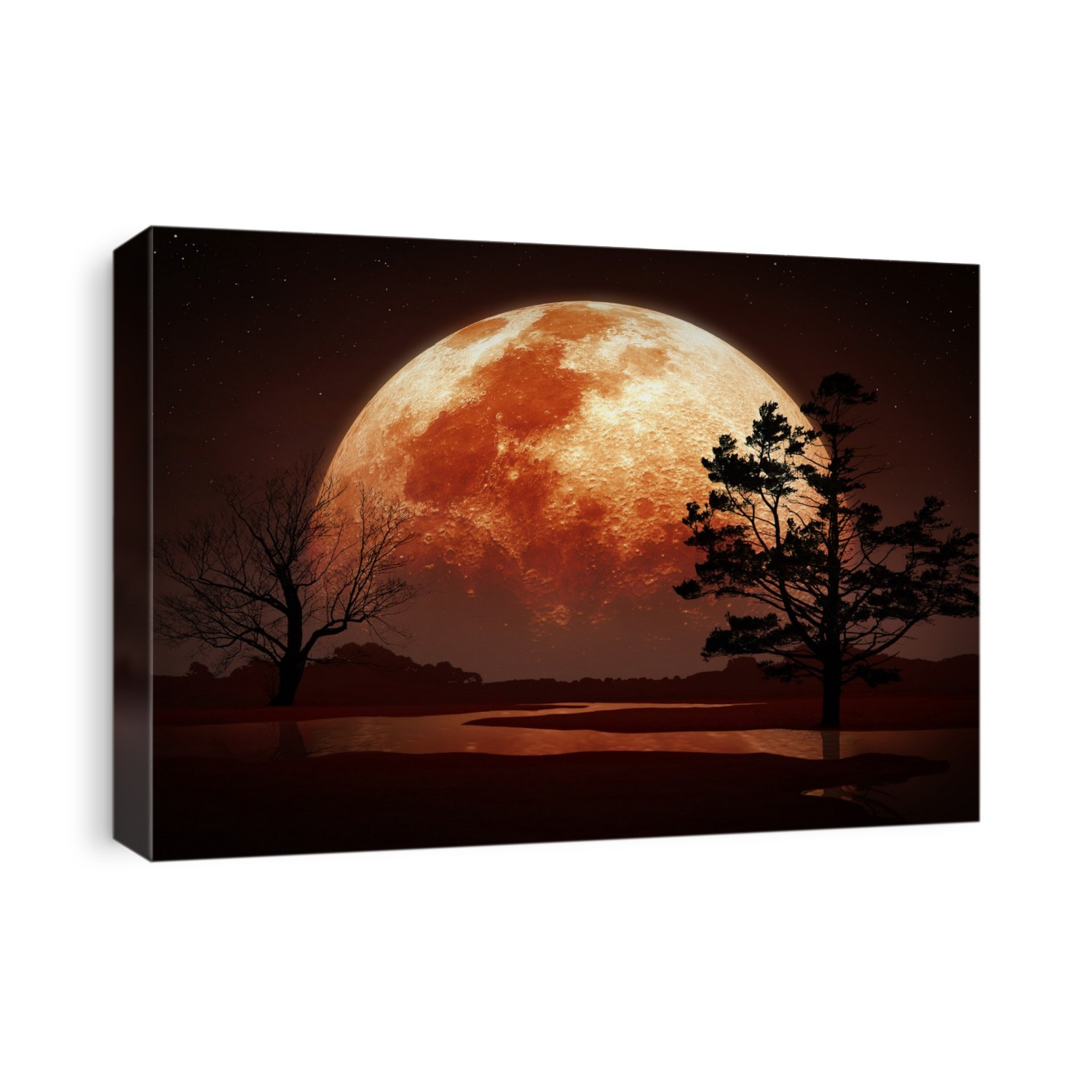 Illustration of a reddened Moon rising or setting, seen in the background of a tree-strewn landscape.