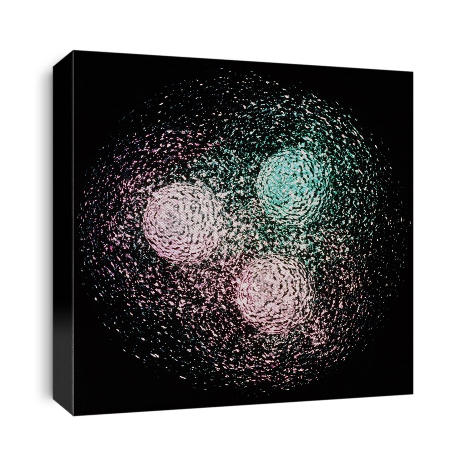Quark structure of the neutron. Computer visualisation of the structure of the neutron, one of the building blocks of atomic nuclei. The three objects seen here are quarks, held together by the strong nuclear force. This force is mediated by the exchange of virtual gluons which form a quantum cloud around the quarks. The colours here represent the quark "flavour"; the proton is made of two "down" quarks (pink) and one "up" quark (green). These quarks have electric charges of -1/3 and +2/3 respectively, so the neutron has no net electric charge (is electrically neutral).