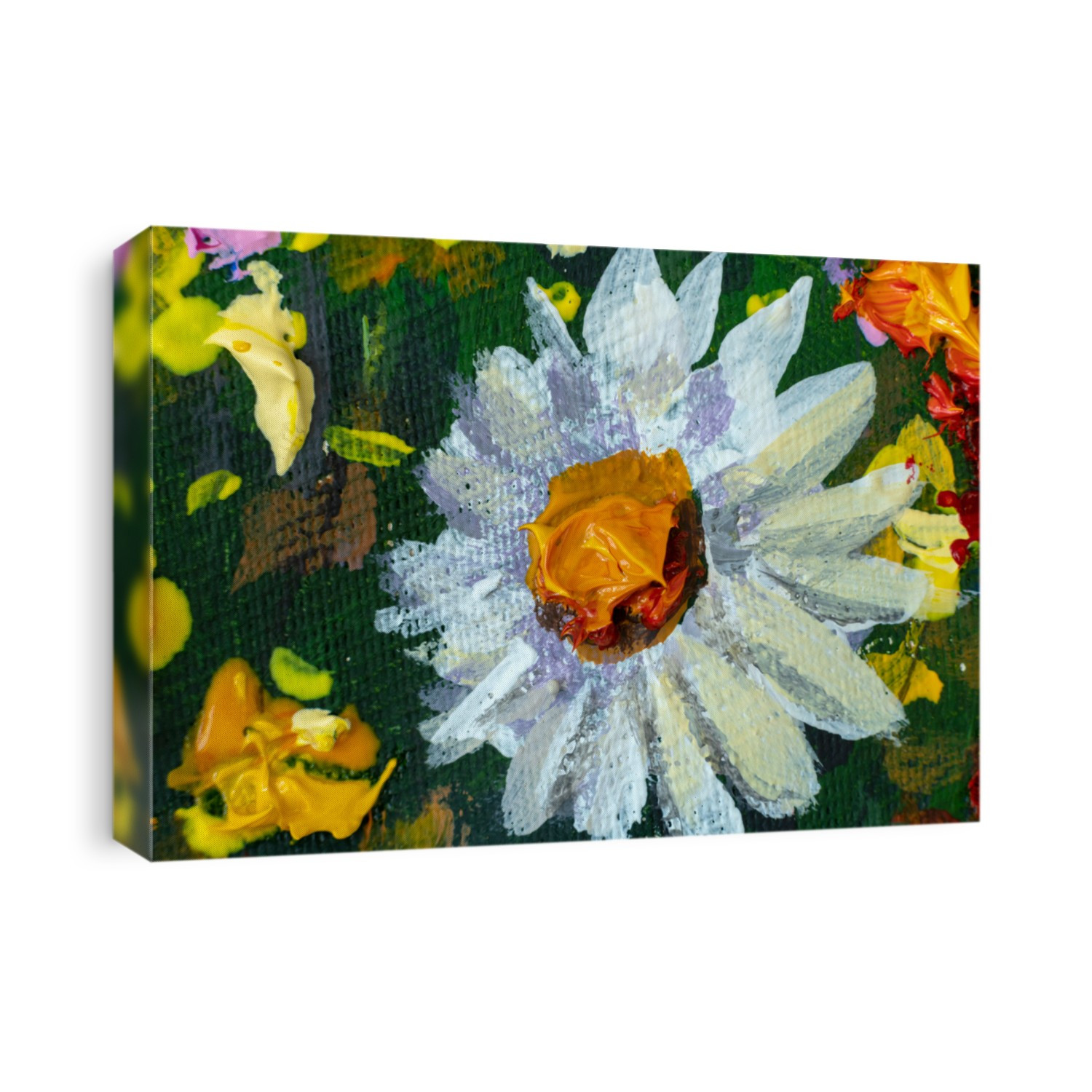 Oil painting close-up flowers. Big wild flower white chamomile closeup macro on canvas. Modern Impressionism. Impasto artwork.