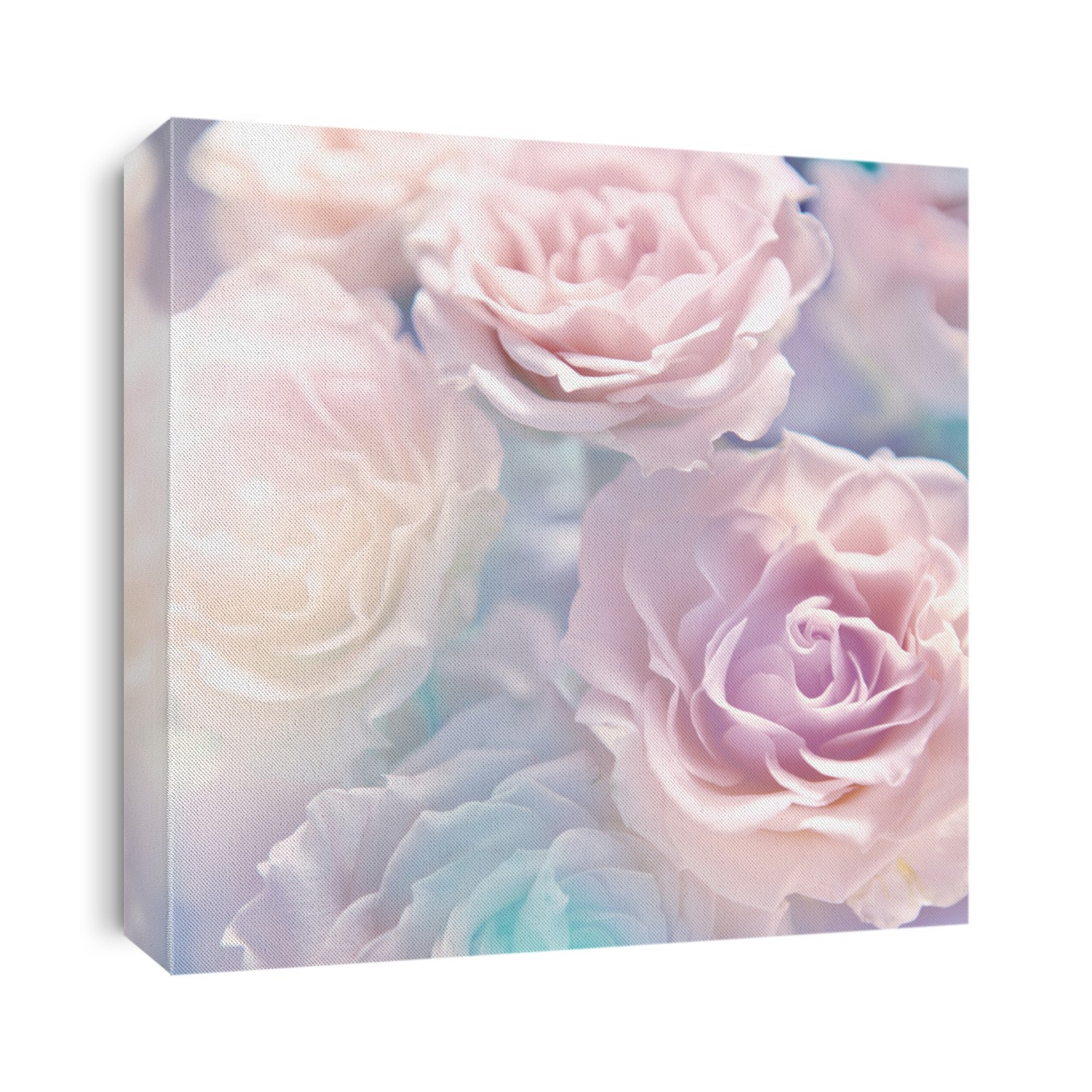 beautiful flowers made with color filters