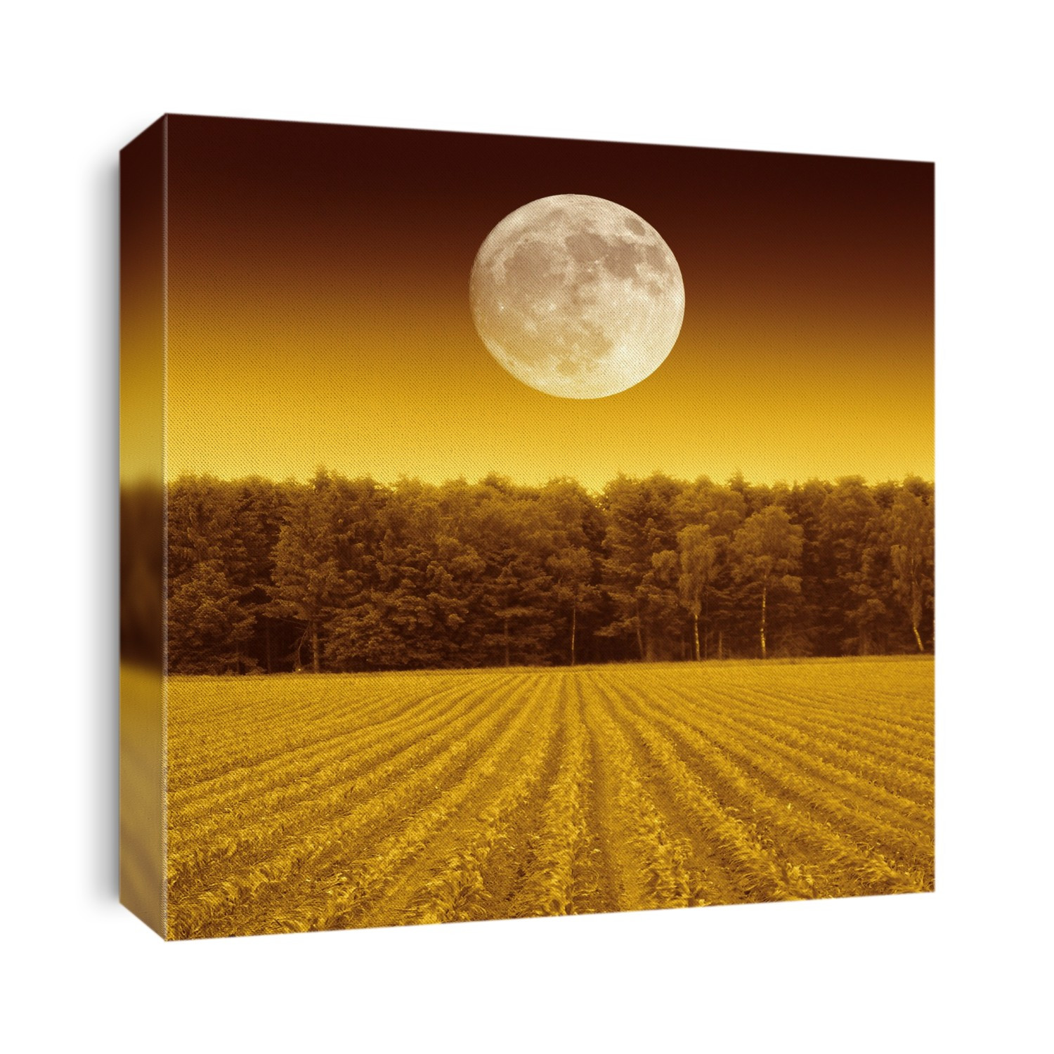 Full moon over a field.