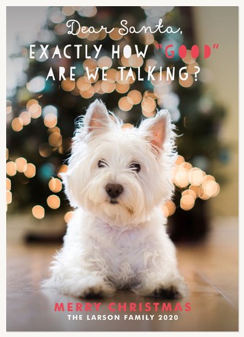 Christmas Mischief Personalized Holiday Cards