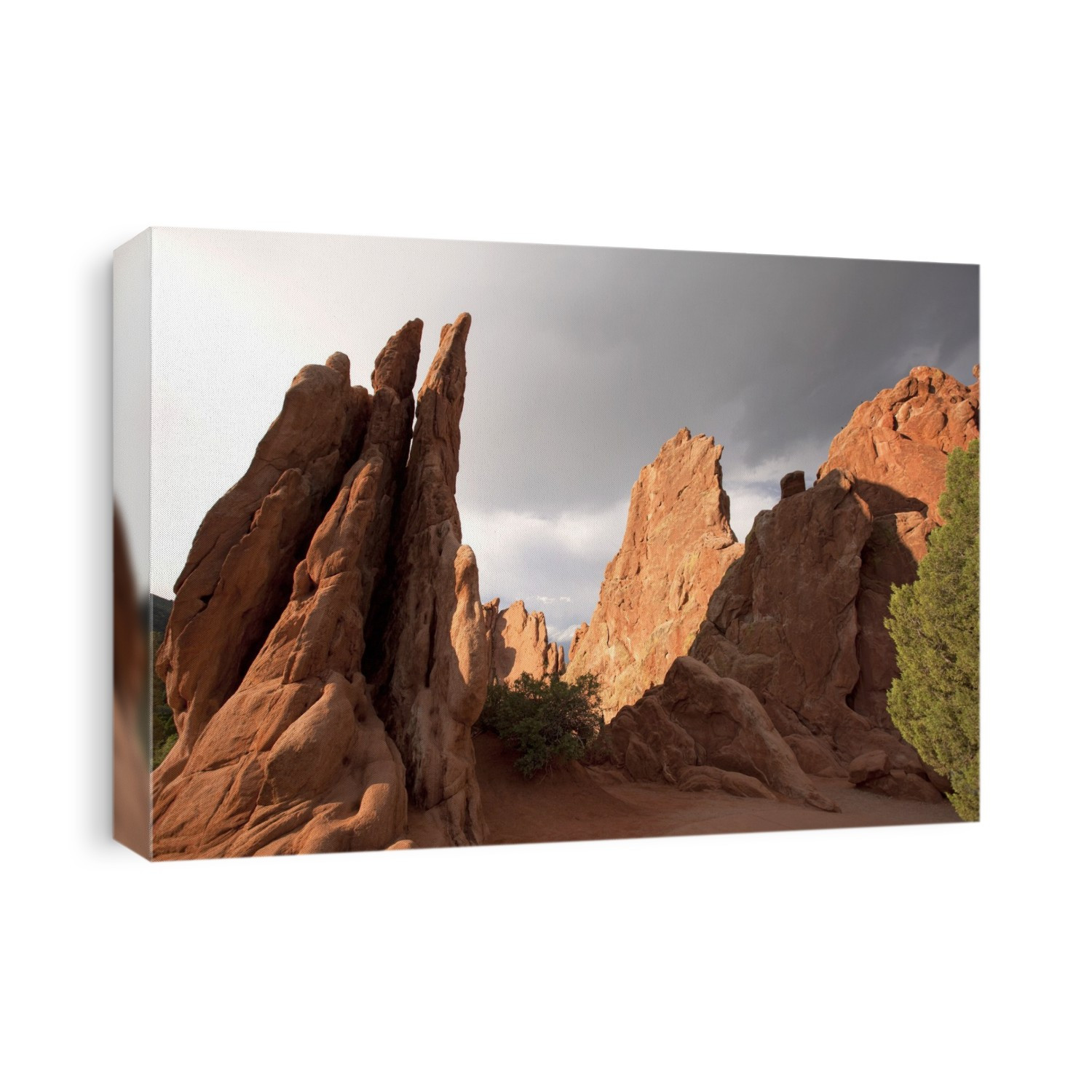 Garden of the Gods rock formations. Sunlit red sandstone formations in the Garden of the Gods, Colorado Springs, USA. These rock formations were created during a geological upheaval along a natural fault line millions of years ago.