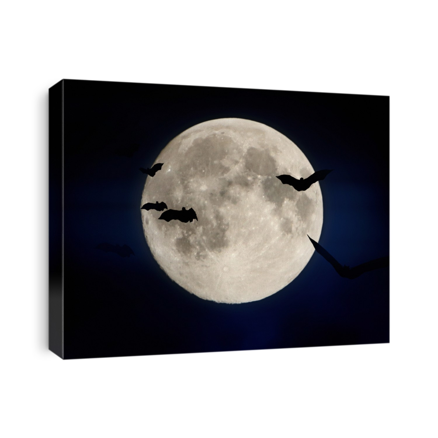 Flying bat and Halloween moon. Night outdoor.