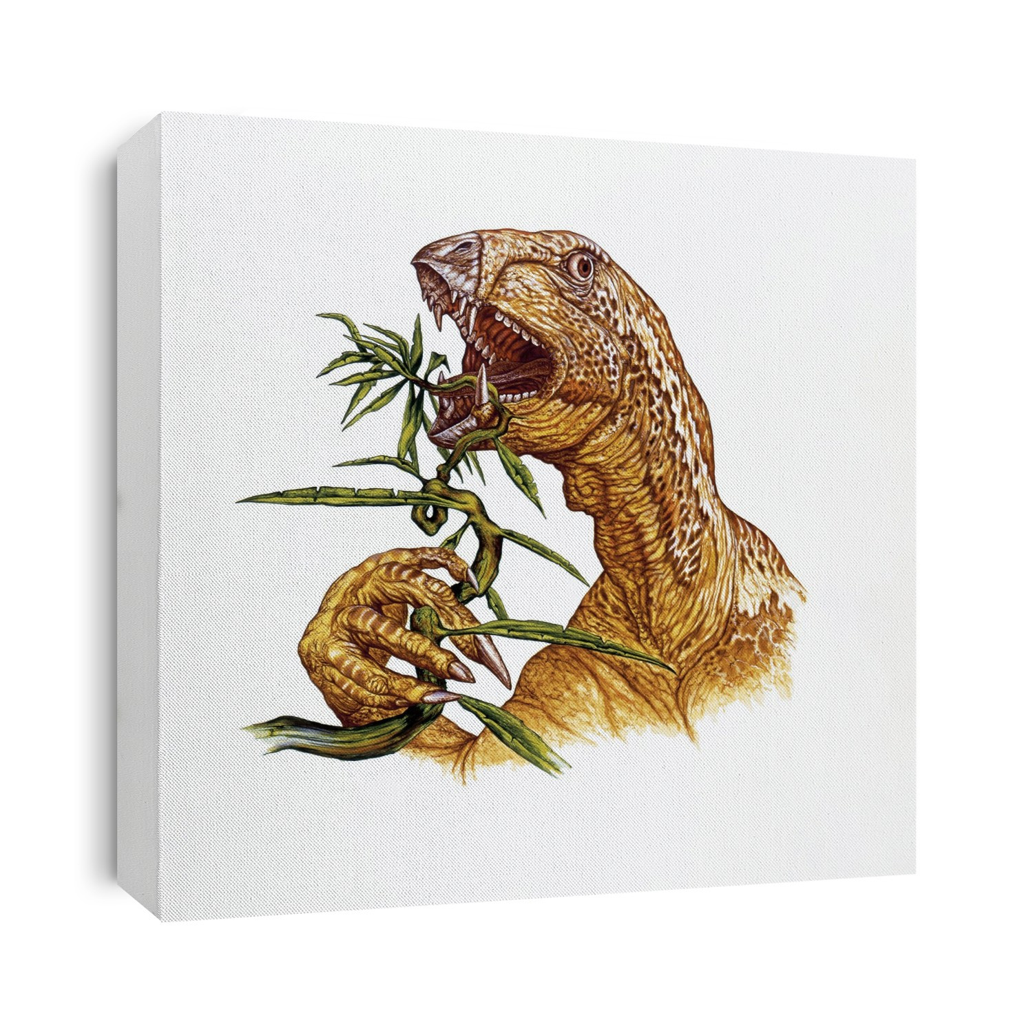 Illustration representing Heterodontosaurus eating leaves.