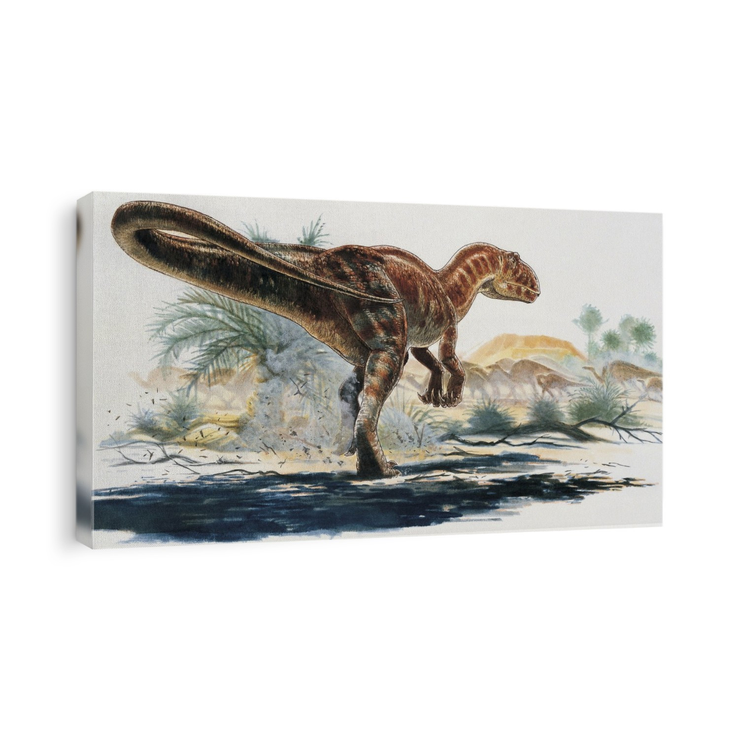 Carcharodontosaurus dinosaur in the forest.