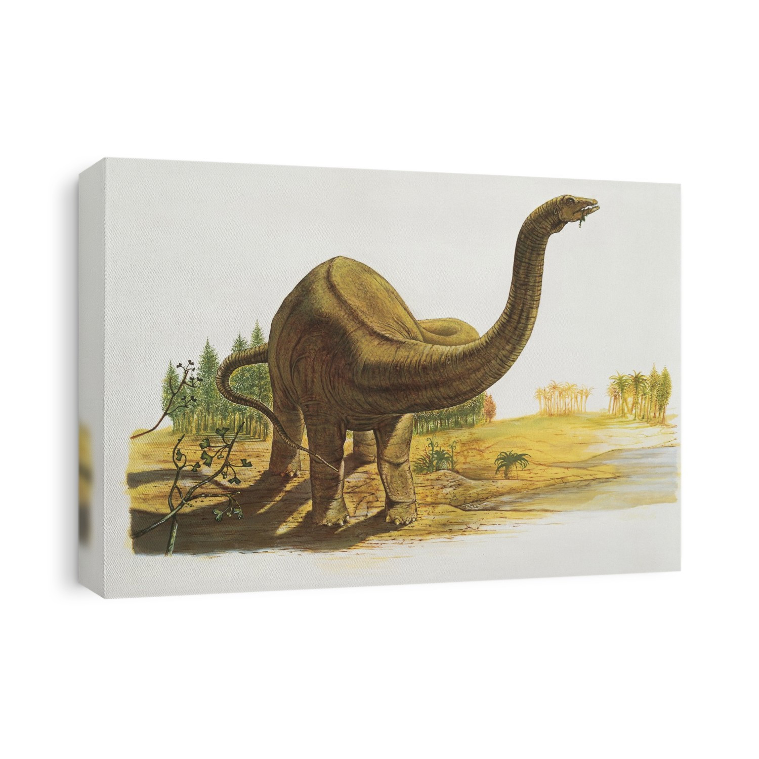 Dinosaur in the forest. Dicraeosaurus.