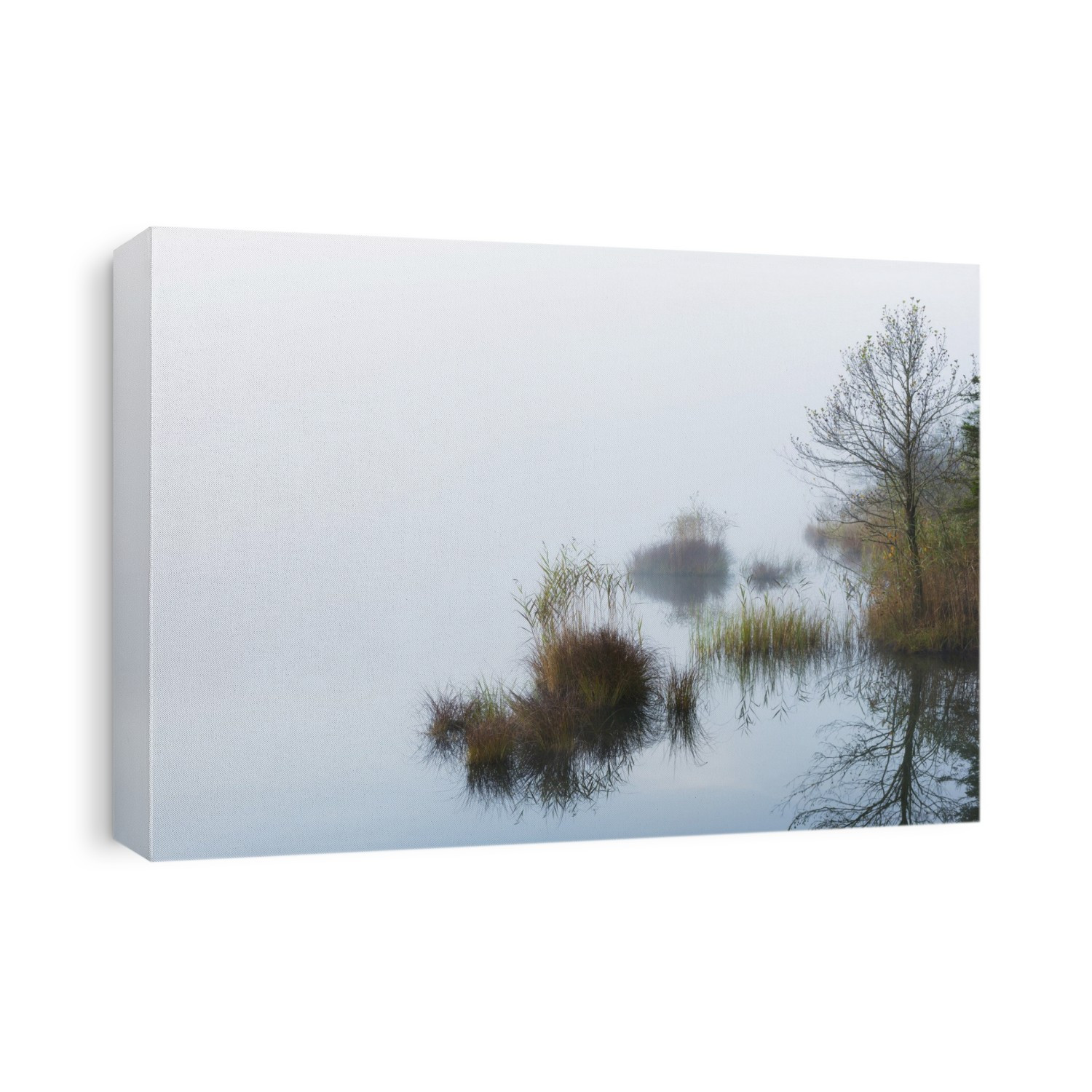 Lake Barmsee in Morning Mist, Werdenfelser Land, Upper Bavaria, Bavaria, Germany