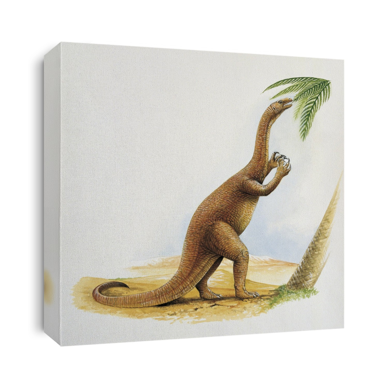 Side profile of a coloradisaurus eating leaves of tree.
