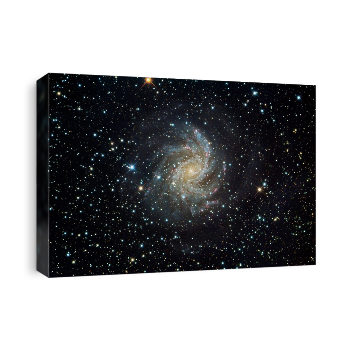 Spiral galaxy (NGC 6946), optical image. This galaxy is located between 10 and 20 million light years away from Earth on the border between the constellations Cepheus and Cygnus. It is sometimes known as the Fireworks galaxy because of its phenomenal rate of star birth and death. There are red regions of emission nebulosity within the spiral arms, where hot young stars ionise hydrogen gas and cause it to glow. The blue regions are due to fine dust particles reflecting starlight. The core of the galaxy appears yellow as it is dominated by older stars.