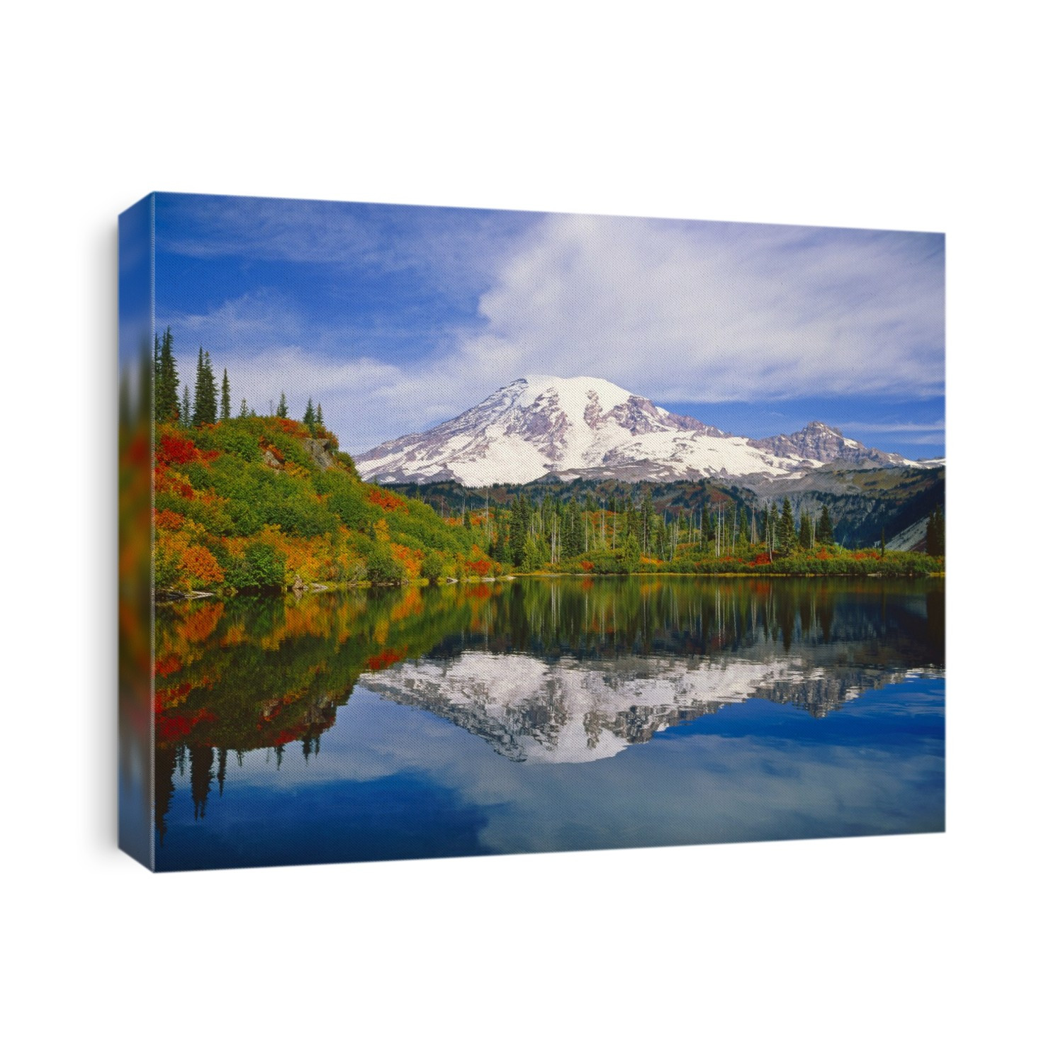 Mount Rainier and autumn coloured forest reflected in tranquil water of a lake in Mount Rainier National Park; Washington, United States of America