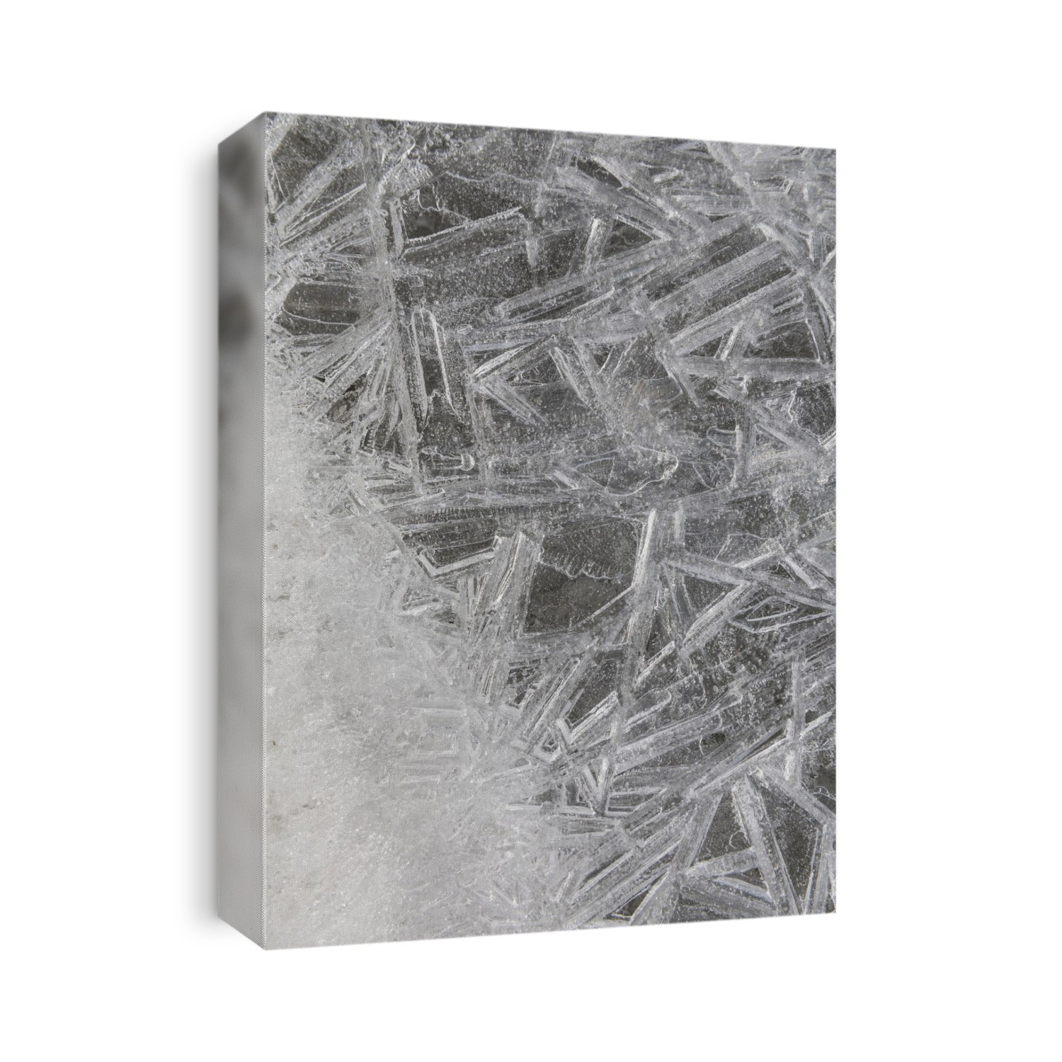 Close-up of ice crystal details in the melting snow and ice lining the shore of Kotzebue Sound in Spring; Kotzebue, Northwestern Alaska, Alaska, United States of America