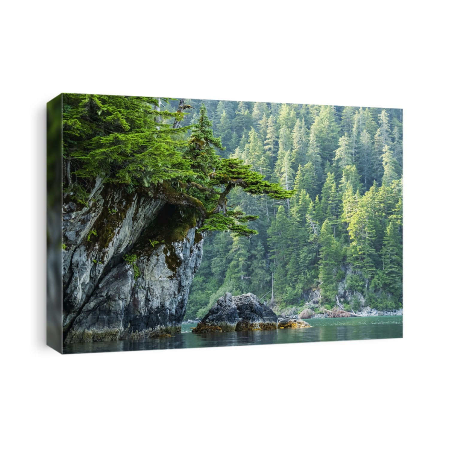 Beautiful scenery of Prince William Sound at dusk; Whittier, Alaska, United States of America