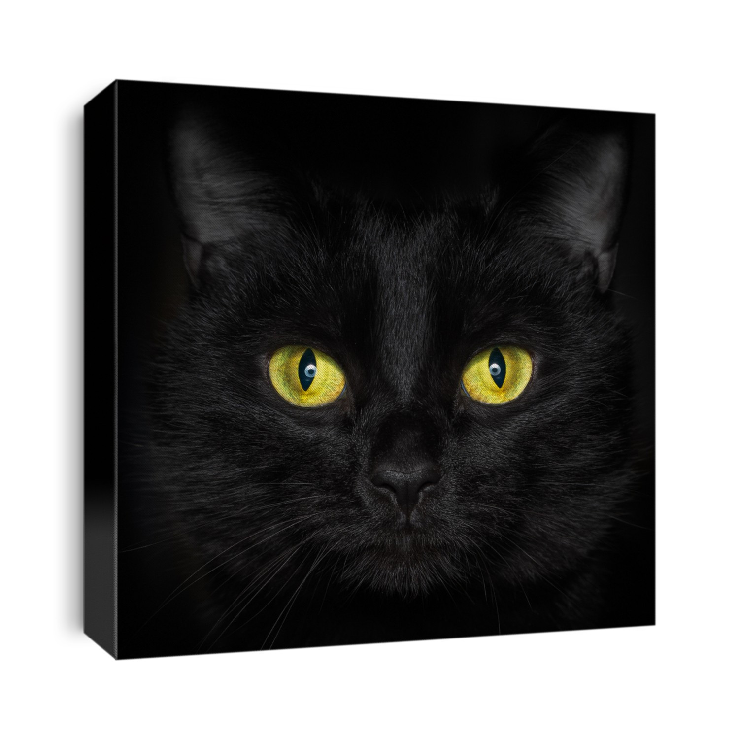 Black cat face with yellow eyes