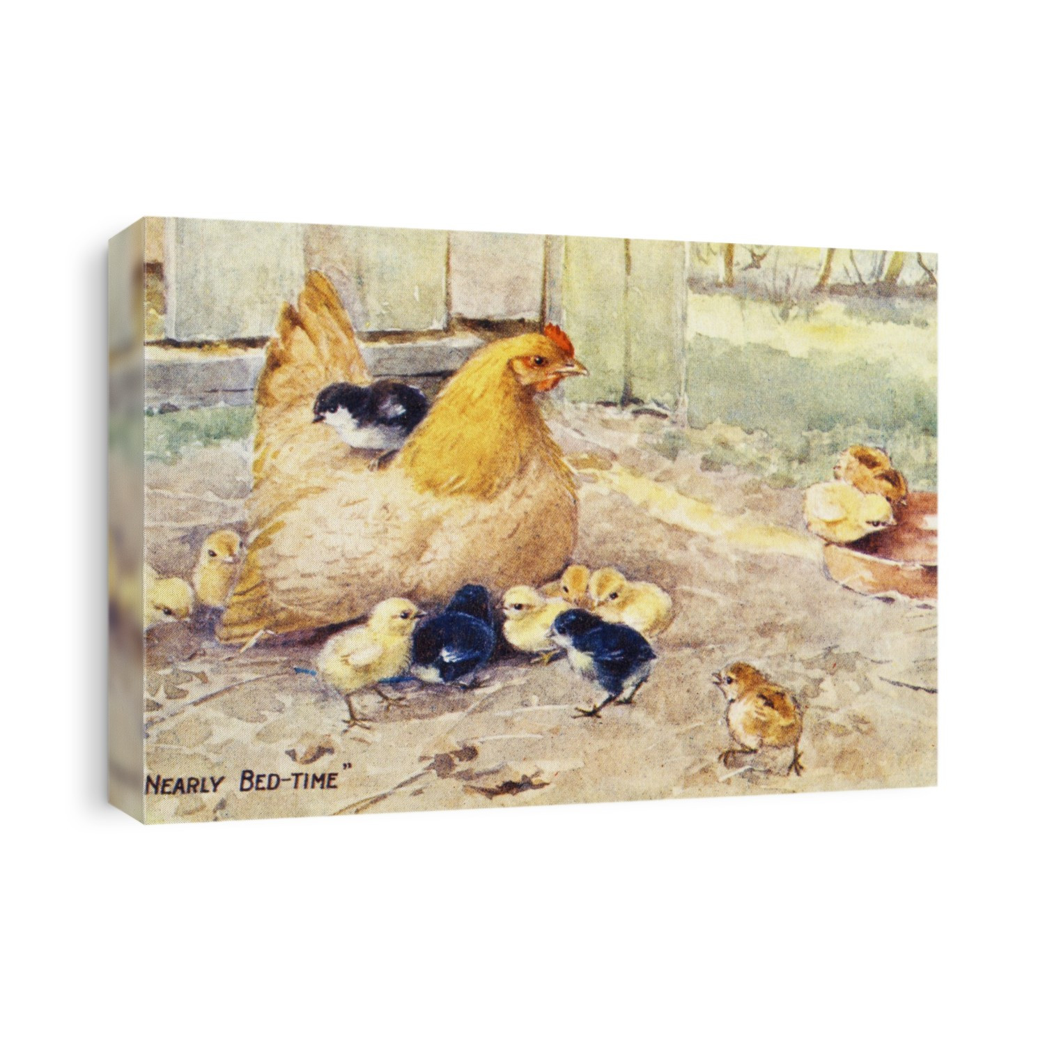 Vintage Greeting Card With Illustration Of Hen And Chicks From 20th Century.