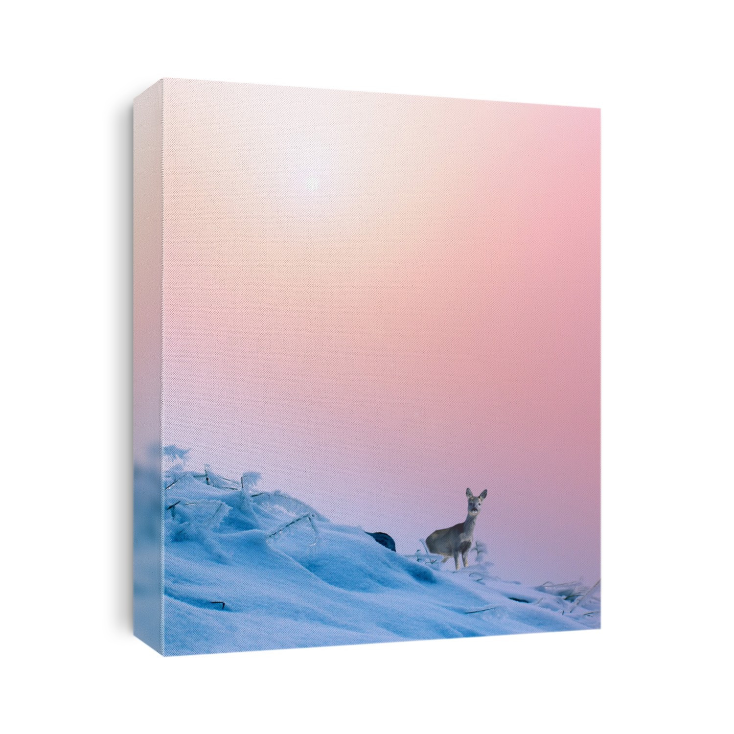 Deer in the snow