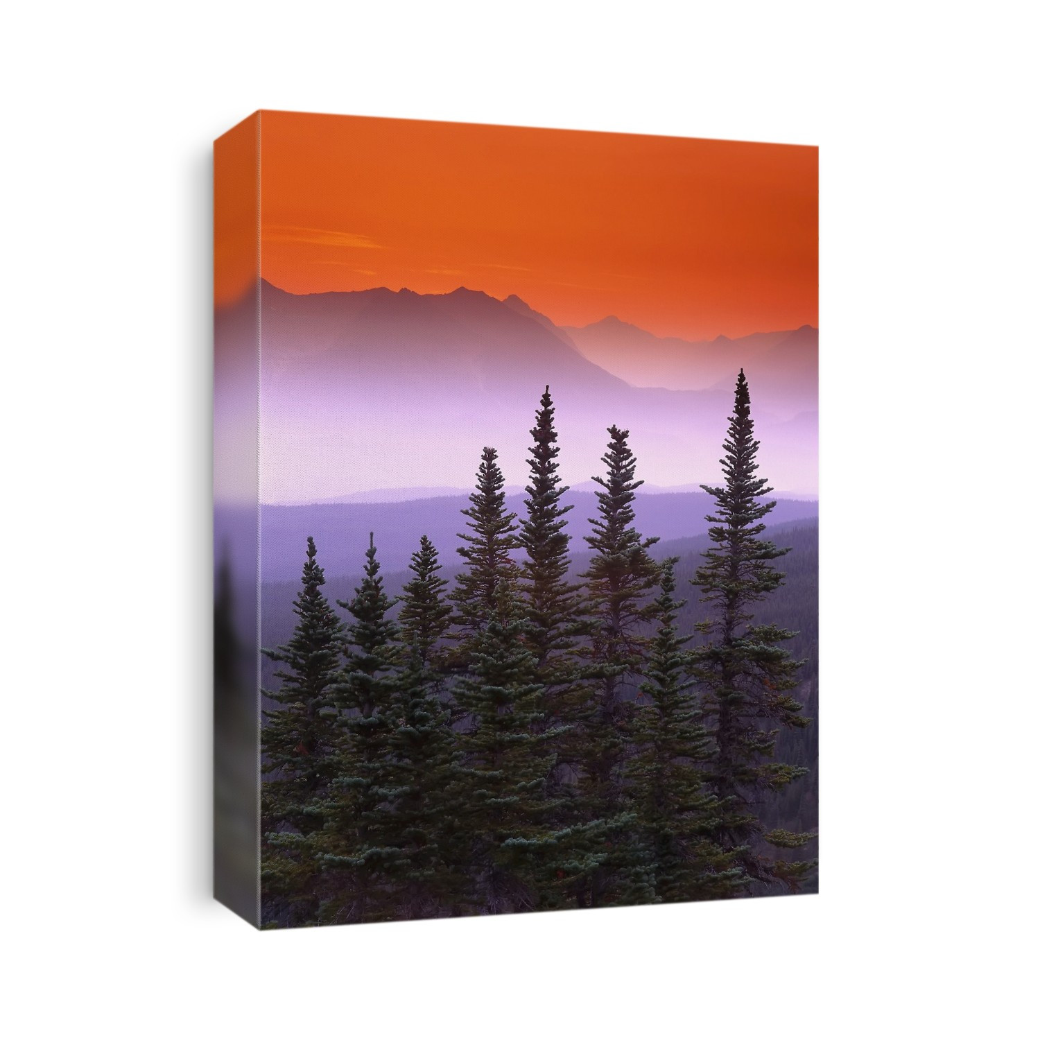Forest in Northern Rockies at Sunrise British Columbia, Canada