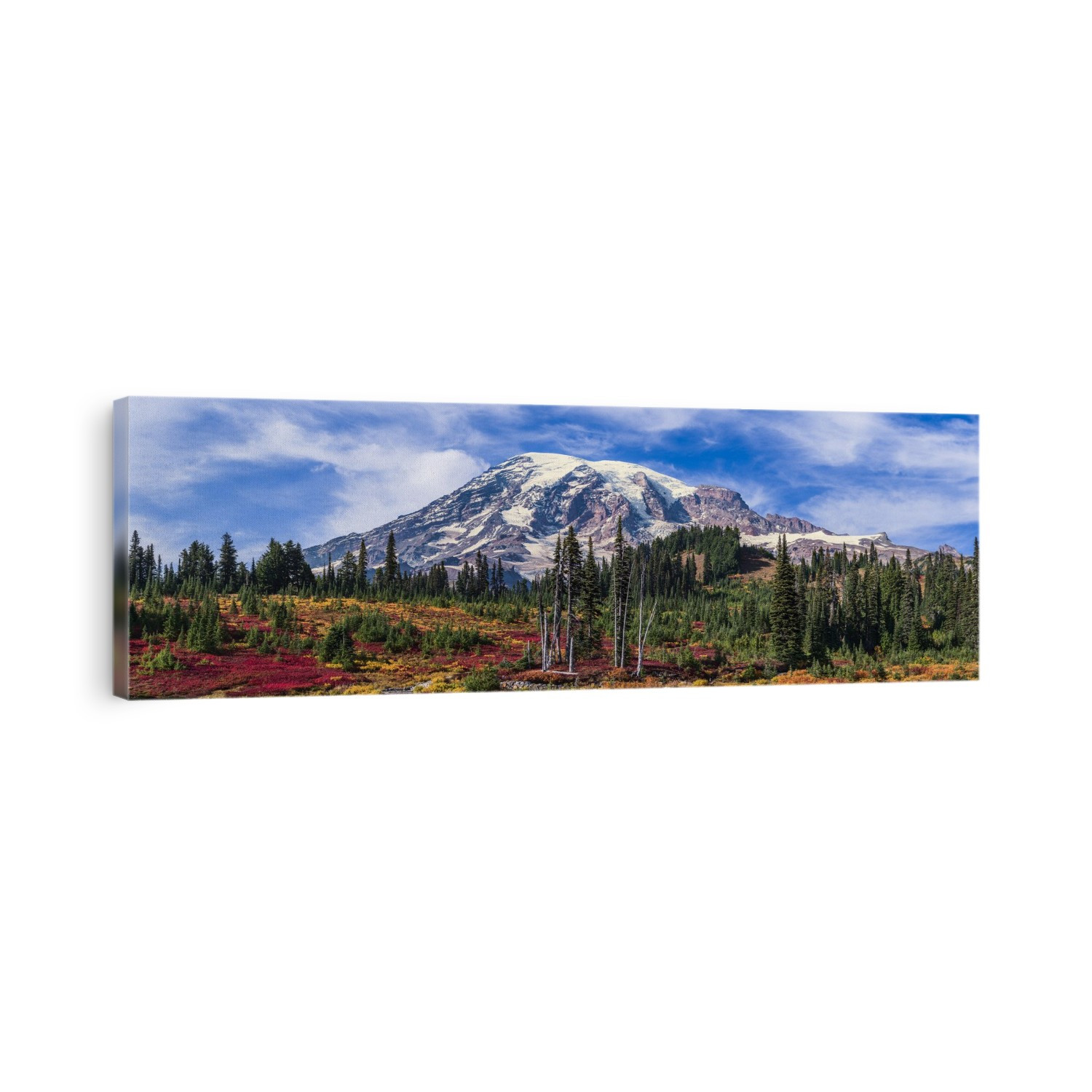 Mount Rainier, Mount Rainier National Park; Washington, United States Of America