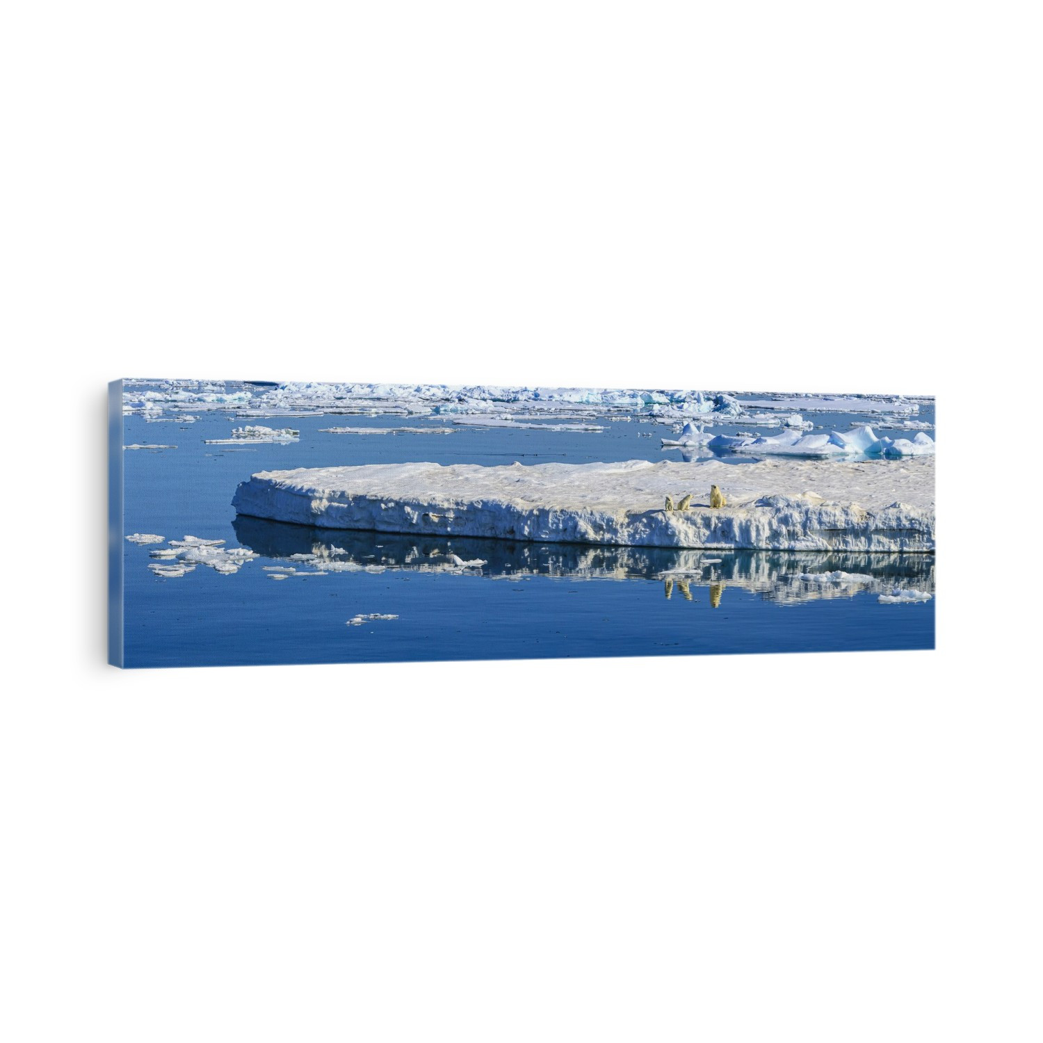 Polar bear (Ursus maritimus) mother and cubs on iceberg, Hinlopen Strait, Svalbard, Norway; Svalbard, Norway