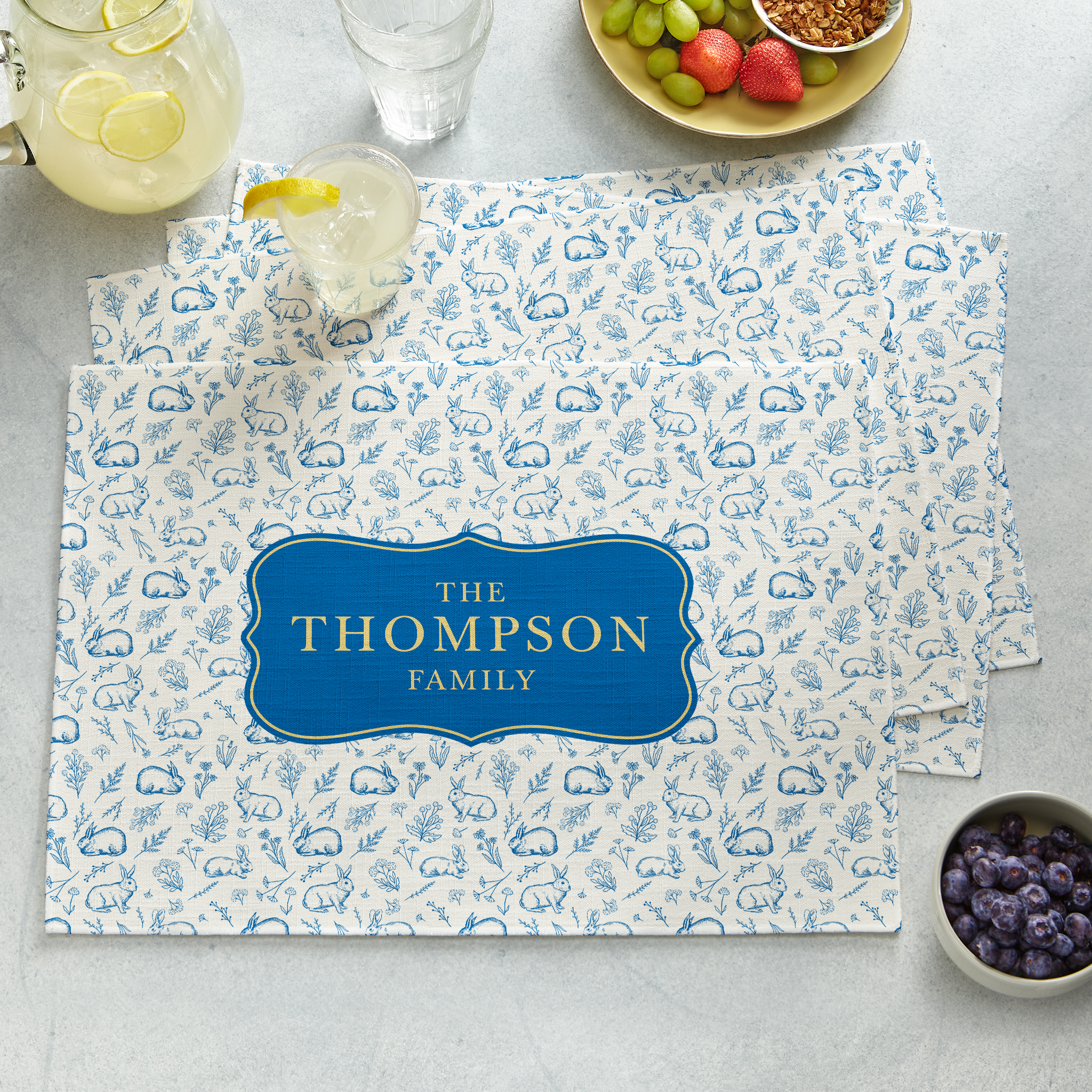 Springtime Toile Placemats