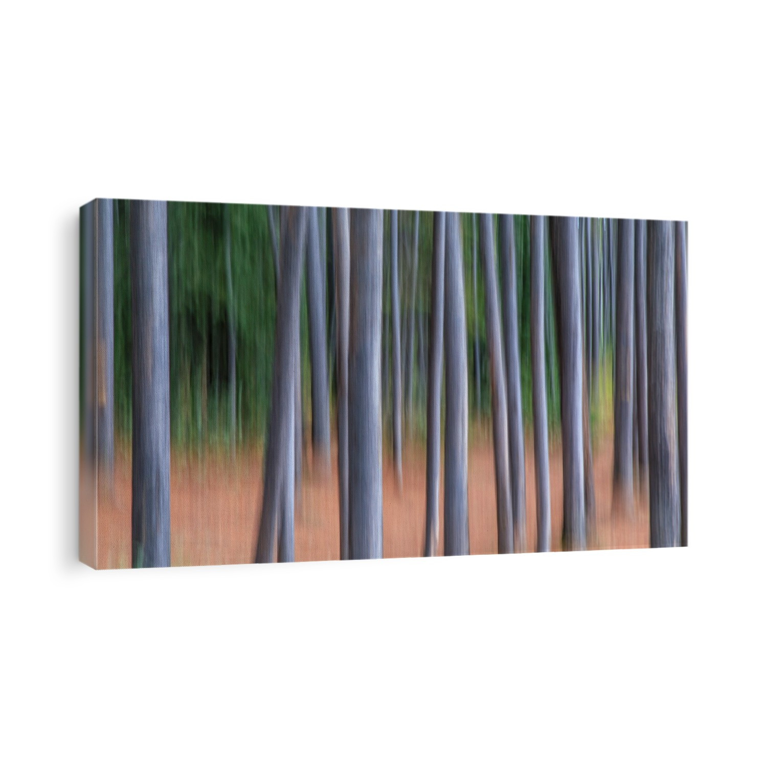 Blurred tree trunks with intentional camera movement; Alberta, Canada