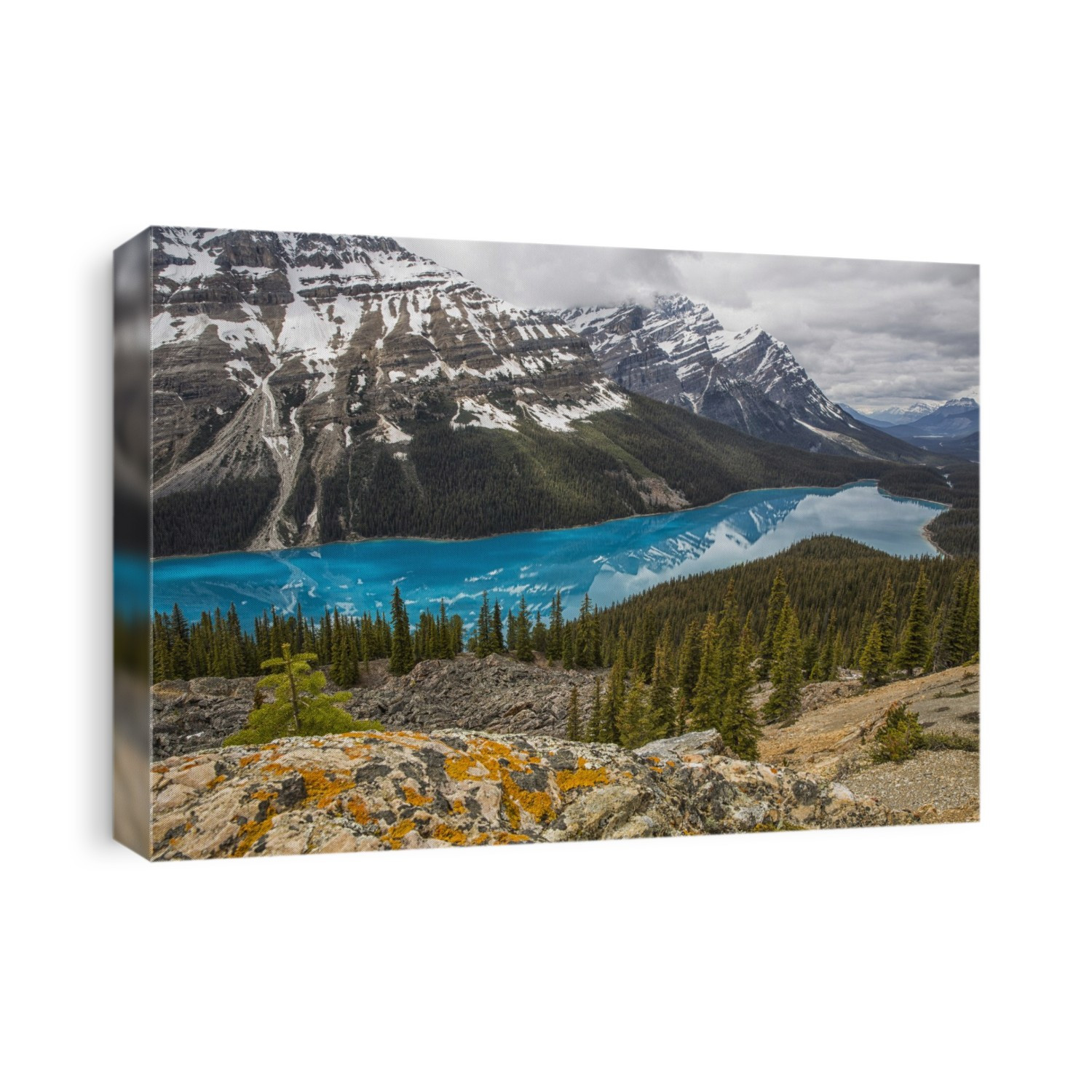 The Aquamarine Waters Of Peyto Lake, Banff National Park; Alberta, Canada