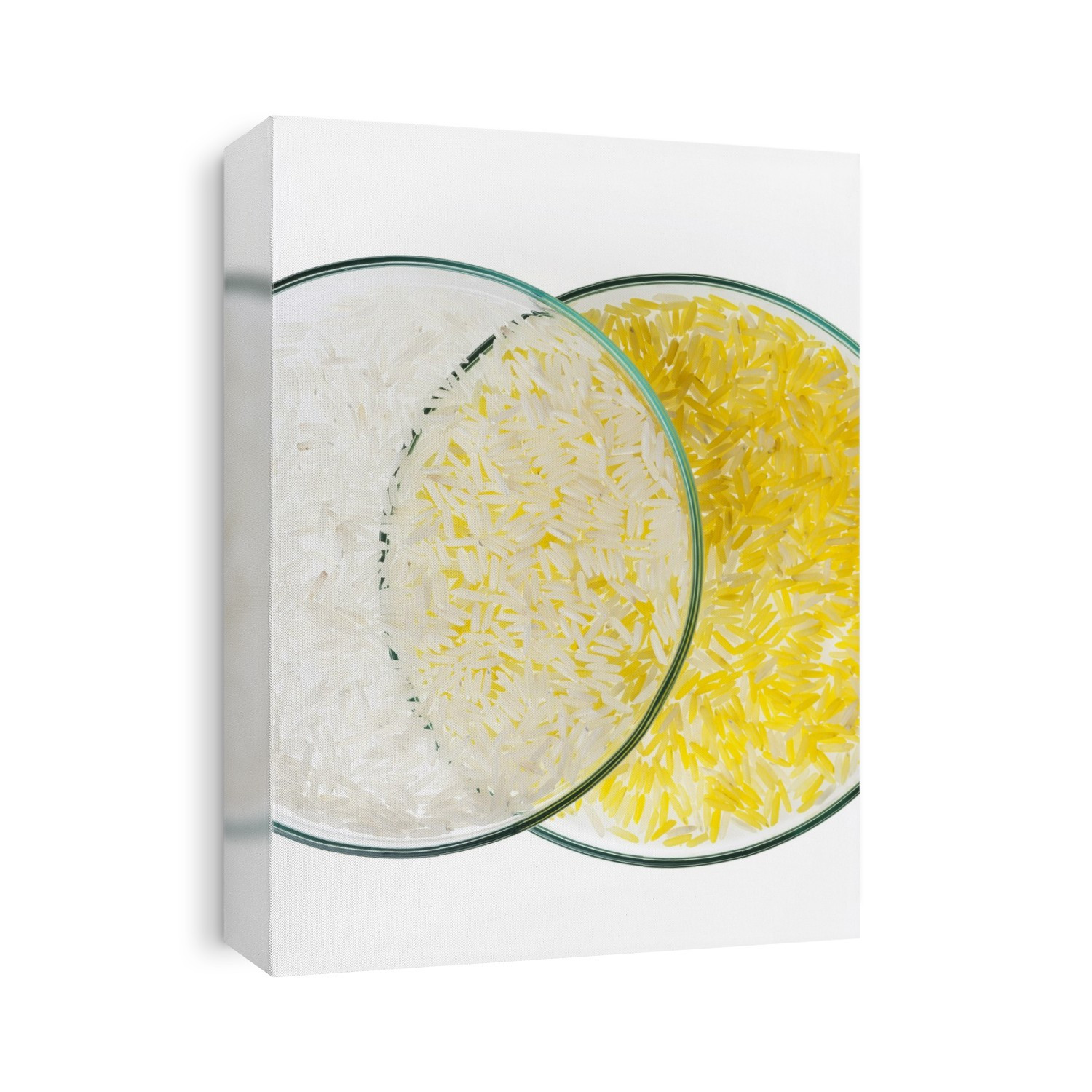 GM food, conceptual image.