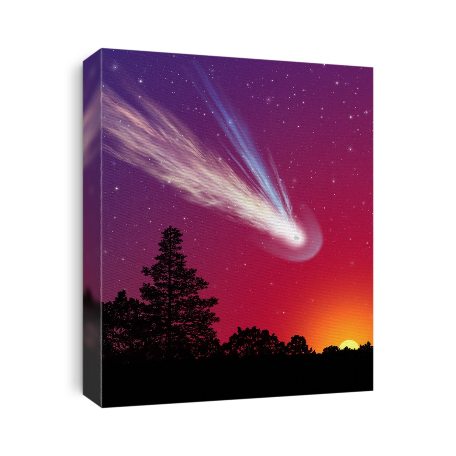 Comet over trees, artwork. Comets are bodies of ice and dust that enter the inner solar system from the outer solar system. As they approach the Sun (lower right), the heat boils the ice, producing a coma around the nucleus, along with a tail stretching out behind it. This tail has two components, both shown here: a gas tail (blue) and a dust tail (white). The blue colour of the gas tail (actually an ionised plasma) is usually due to the presence of carbon monoxide ions. The gas tail points directly away from the Sun, while the dust tail is less affected by the solar wind and usually curves to one side.