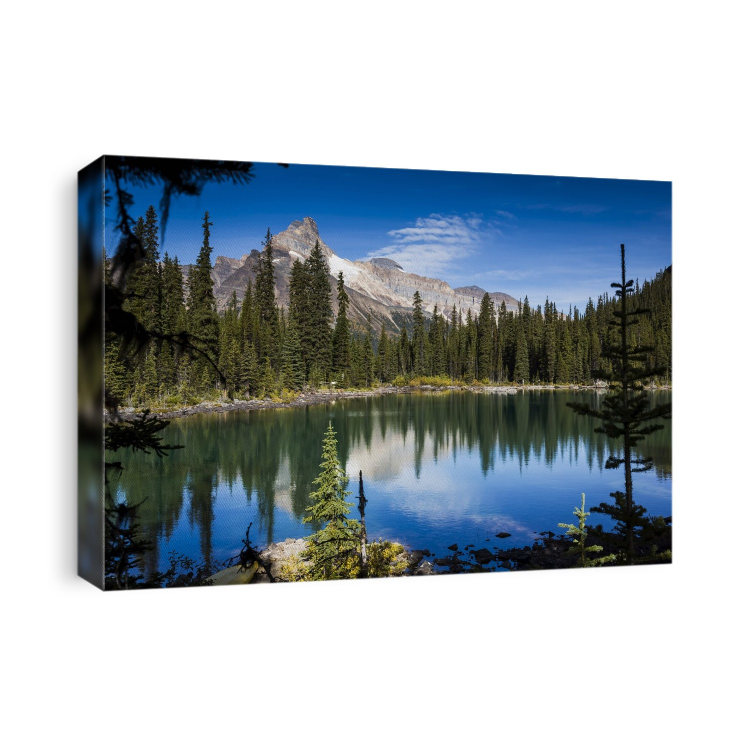Mountain Range and Alpine Lake Lined with Evergreen Trees, Lake O'Hara, Yoho National Park, British Columbia, Canada