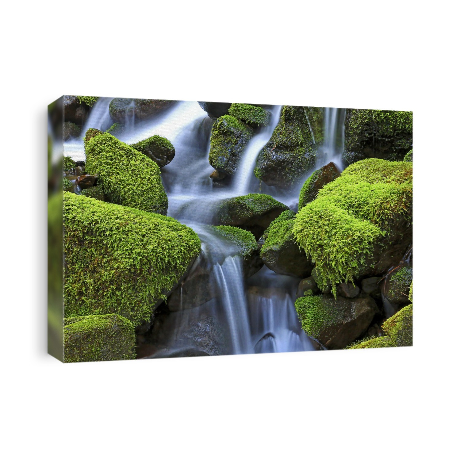 Close-up of moss-covered (Bryophyta) rocks with a cascading waterfall; Hawaii, United States of America