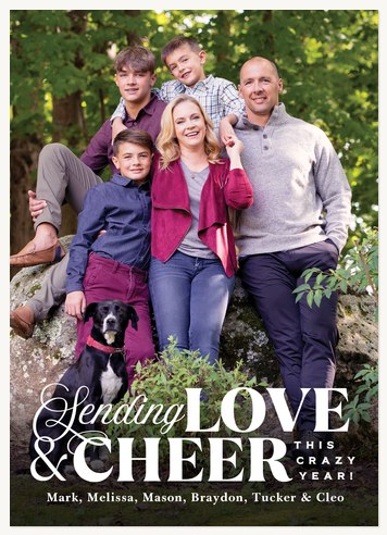 This Crazy Year Photo Holiday Cards