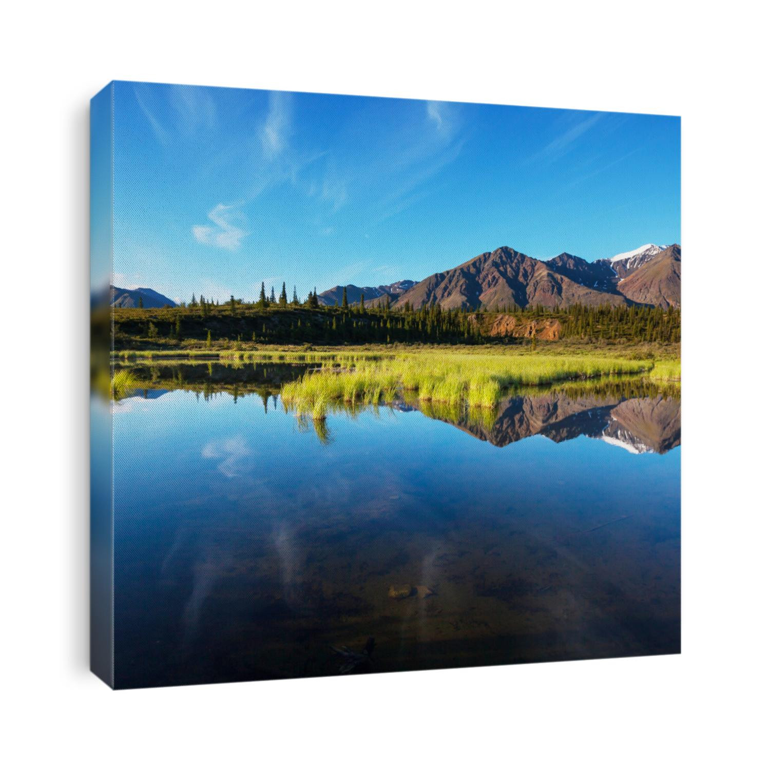 Serenity lake in tundra on Alaska