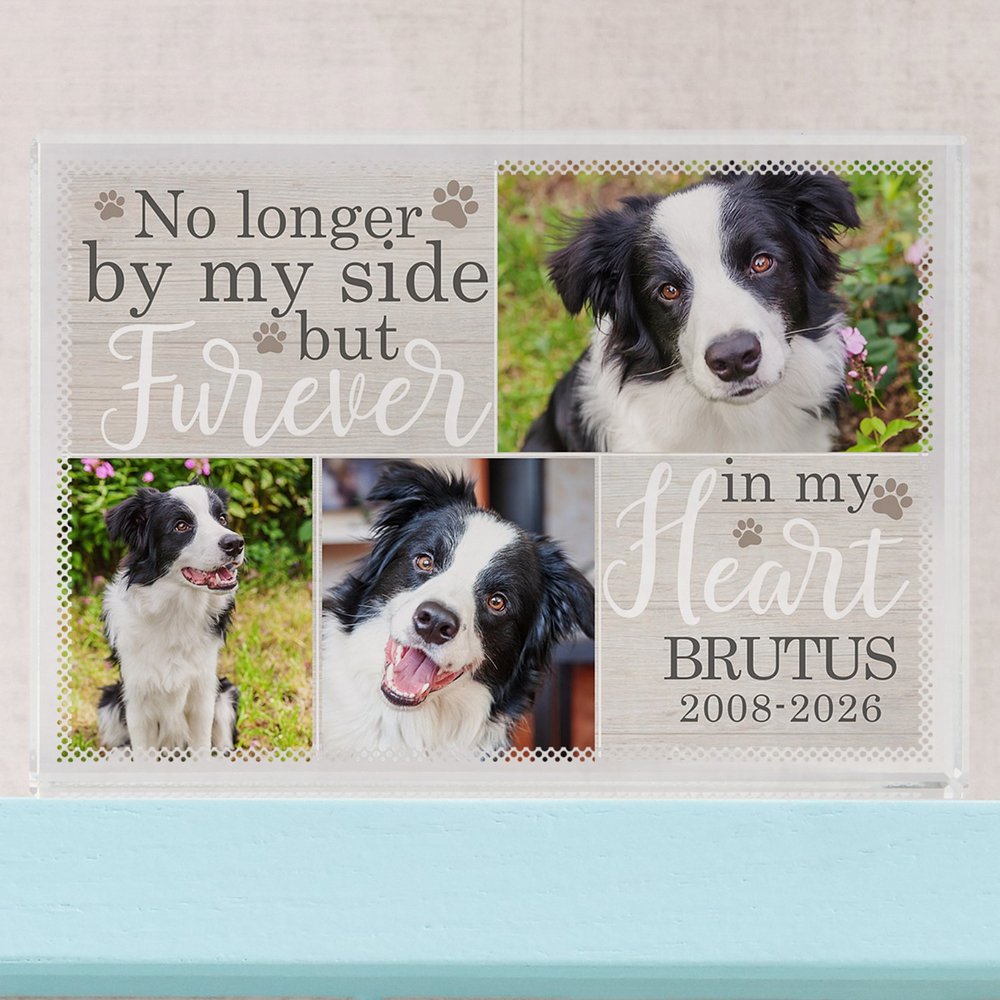 Forever Loved Photo Pet Memorial Personalized Glass Block