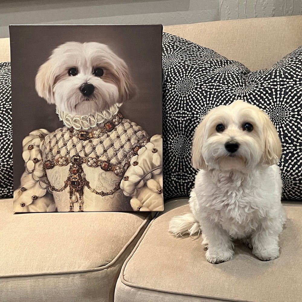The Princess Personalized Pet Photo Portrait